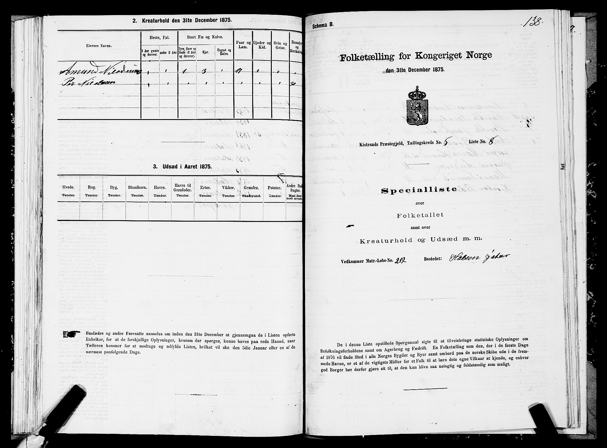 SATØ, 1875 census for 2020P Kistrand, 1875, p. 2138