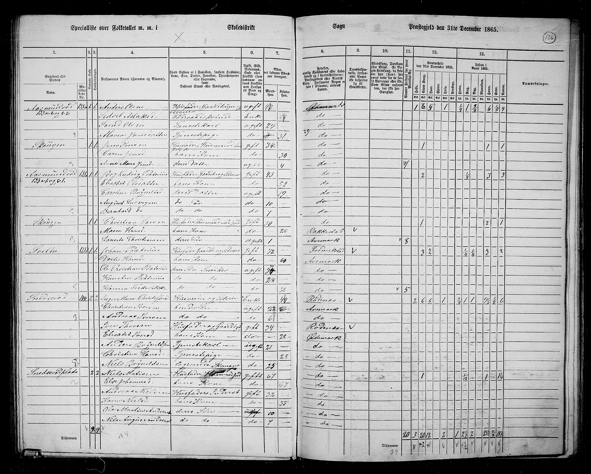 RA, 1865 census for Aremark, 1865, p. 124