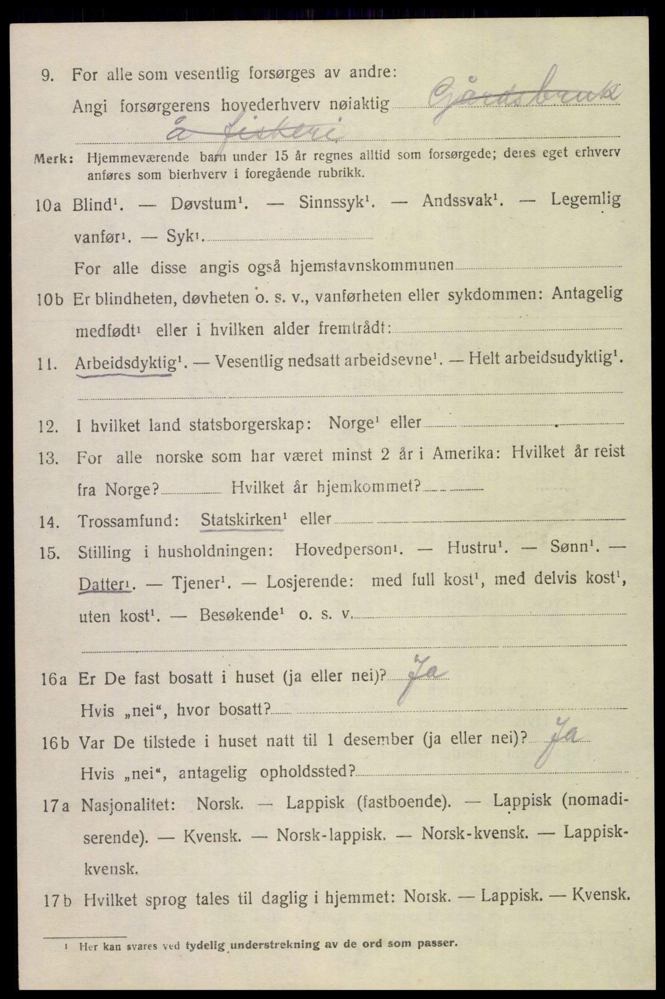 SAT, 1920 census for Bodin, 1920, p. 2691