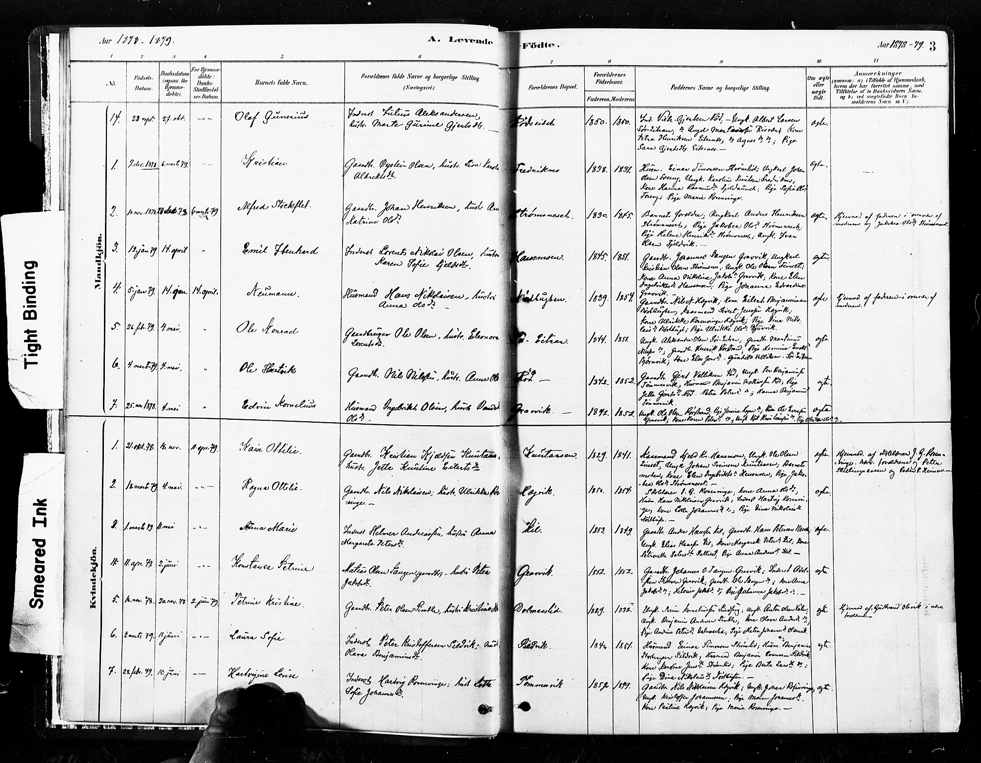 Ministerialprotokoller, klokkerbøker og fødselsregistre - Nord-Trøndelag, SAT/A-1458/789/L0705: Parish register (official) no. 789A01, 1878-1910, p. 3