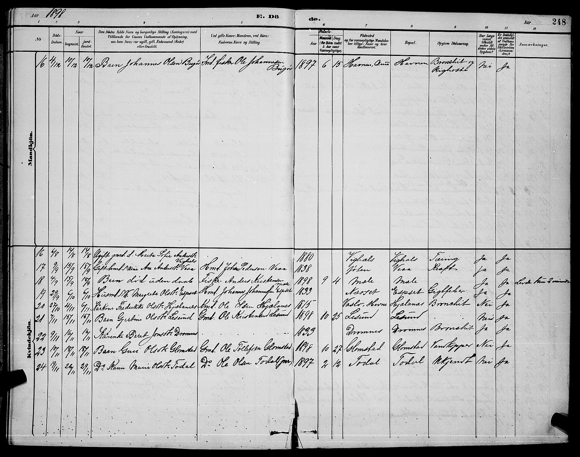 Ministerialprotokoller, klokkerbøker og fødselsregistre - Møre og Romsdal, SAT/A-1454/578/L0909: Parish register (copy) no. 578C02, 1882-1900, p. 248