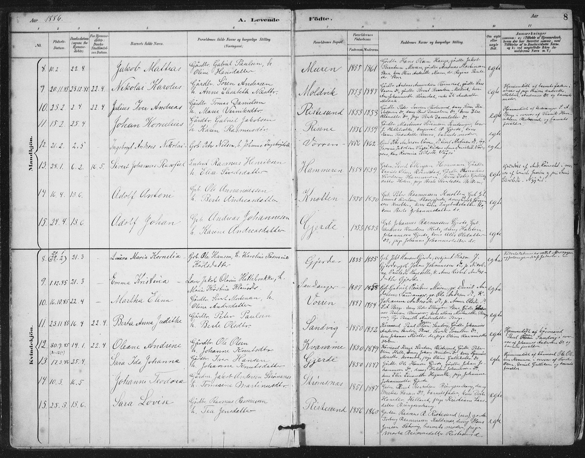 Ministerialprotokoller, klokkerbøker og fødselsregistre - Møre og Romsdal, AV/SAT-A-1454/503/L0037: Parish register (official) no. 503A05, 1884-1900, p. 8