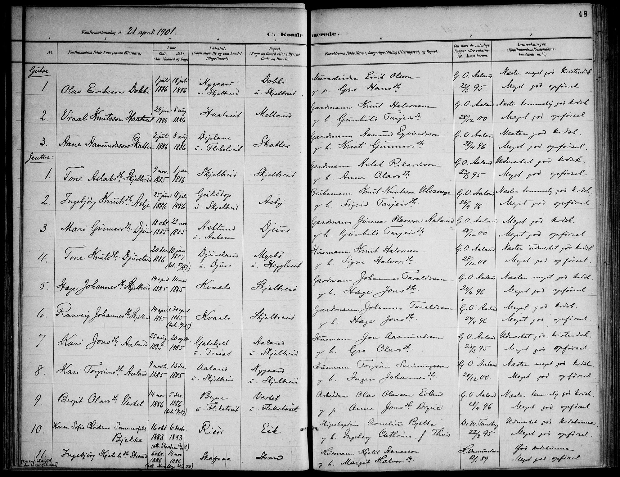 Lårdal kirkebøker, SAKO/A-284/F/Fa/L0007: Parish register (official) no. I 7, 1887-1906, p. 48