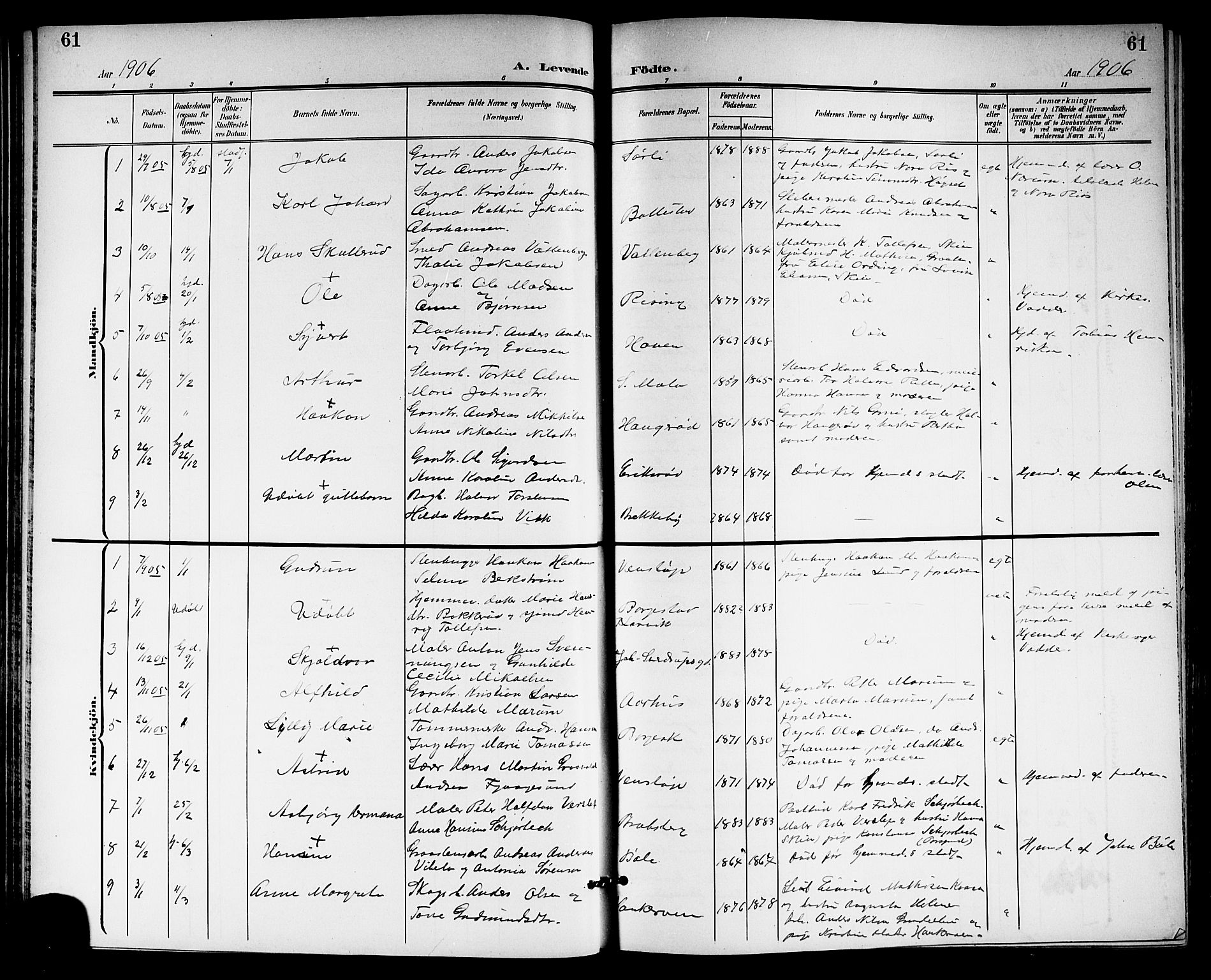 Gjerpen kirkebøker, SAKO/A-265/G/Ga/L0003: Parish register (copy) no. I 3, 1901-1919, p. 61