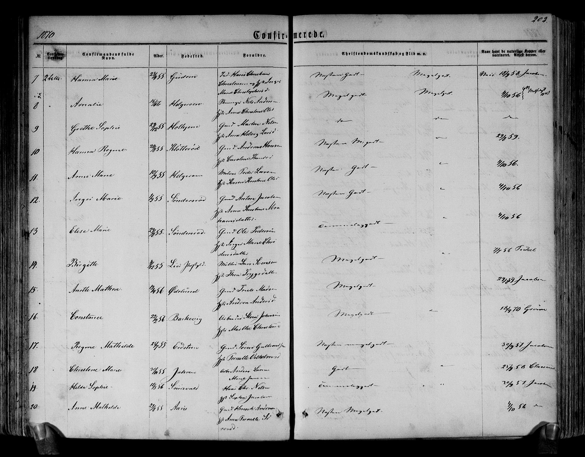 Brunlanes kirkebøker, AV/SAKO-A-342/F/Fa/L0005: Parish register (official) no. I 5, 1862-1877, p. 202