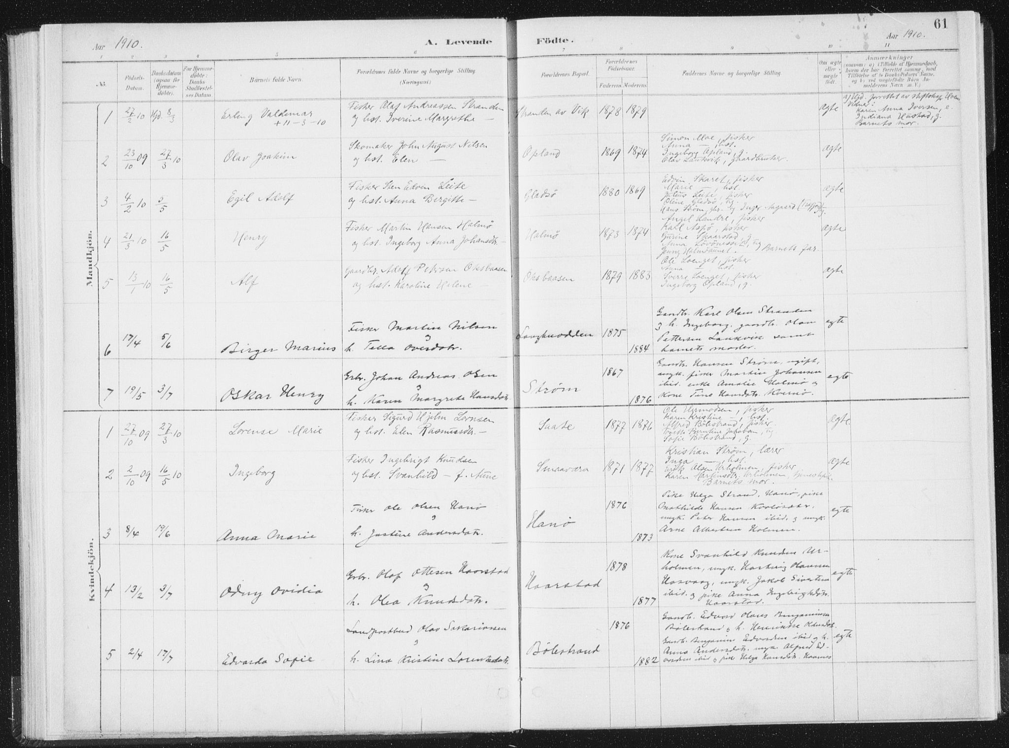 Ministerialprotokoller, klokkerbøker og fødselsregistre - Nord-Trøndelag, AV/SAT-A-1458/771/L0597: Parish register (official) no. 771A04, 1885-1910, p. 61