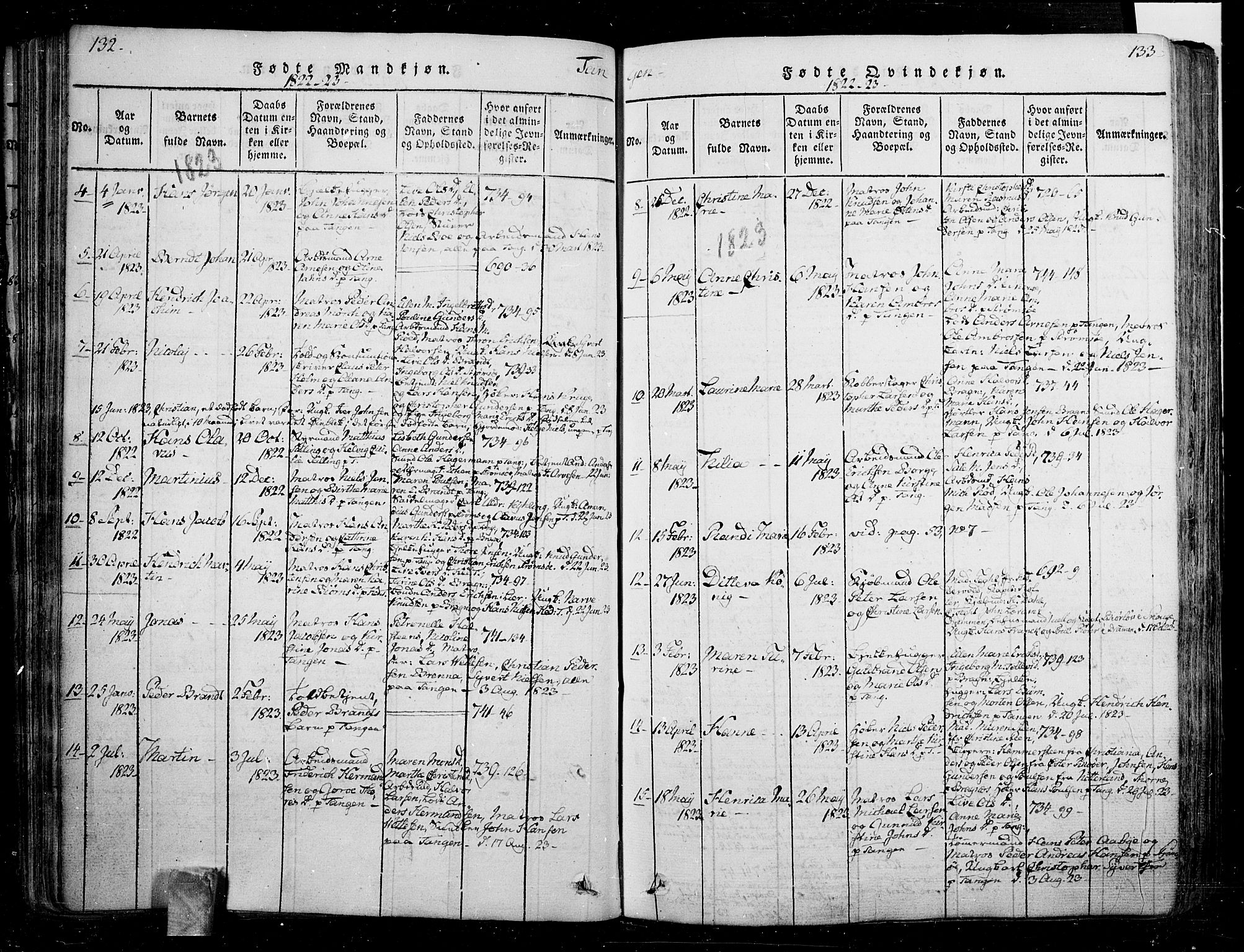 Skoger kirkebøker, AV/SAKO-A-59/F/Fa/L0002: Parish register (official) no. I 2 /2, 1814-1842, p. 132-133