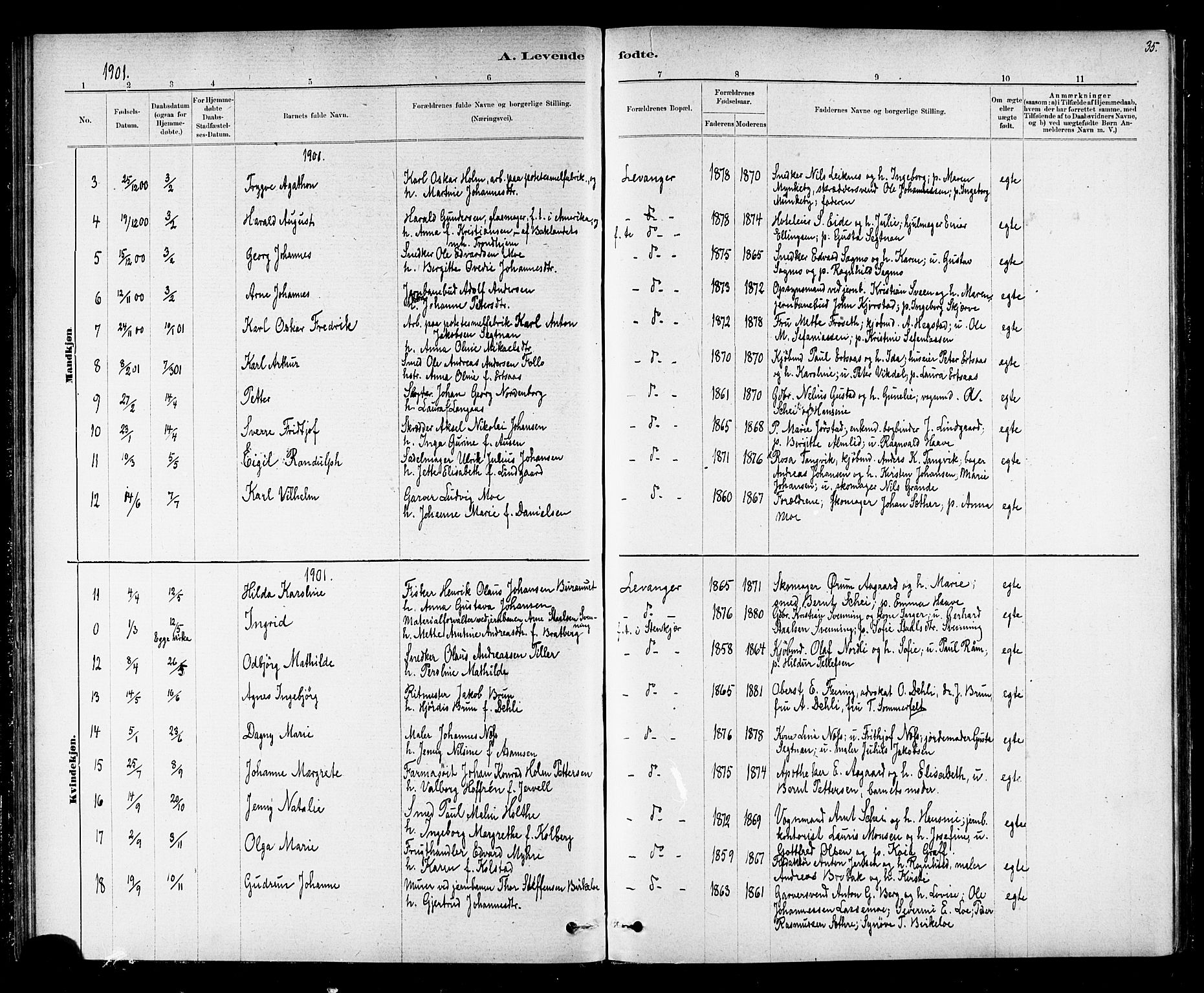 Ministerialprotokoller, klokkerbøker og fødselsregistre - Nord-Trøndelag, SAT/A-1458/720/L0192: Parish register (copy) no. 720C01, 1880-1917, p. 35