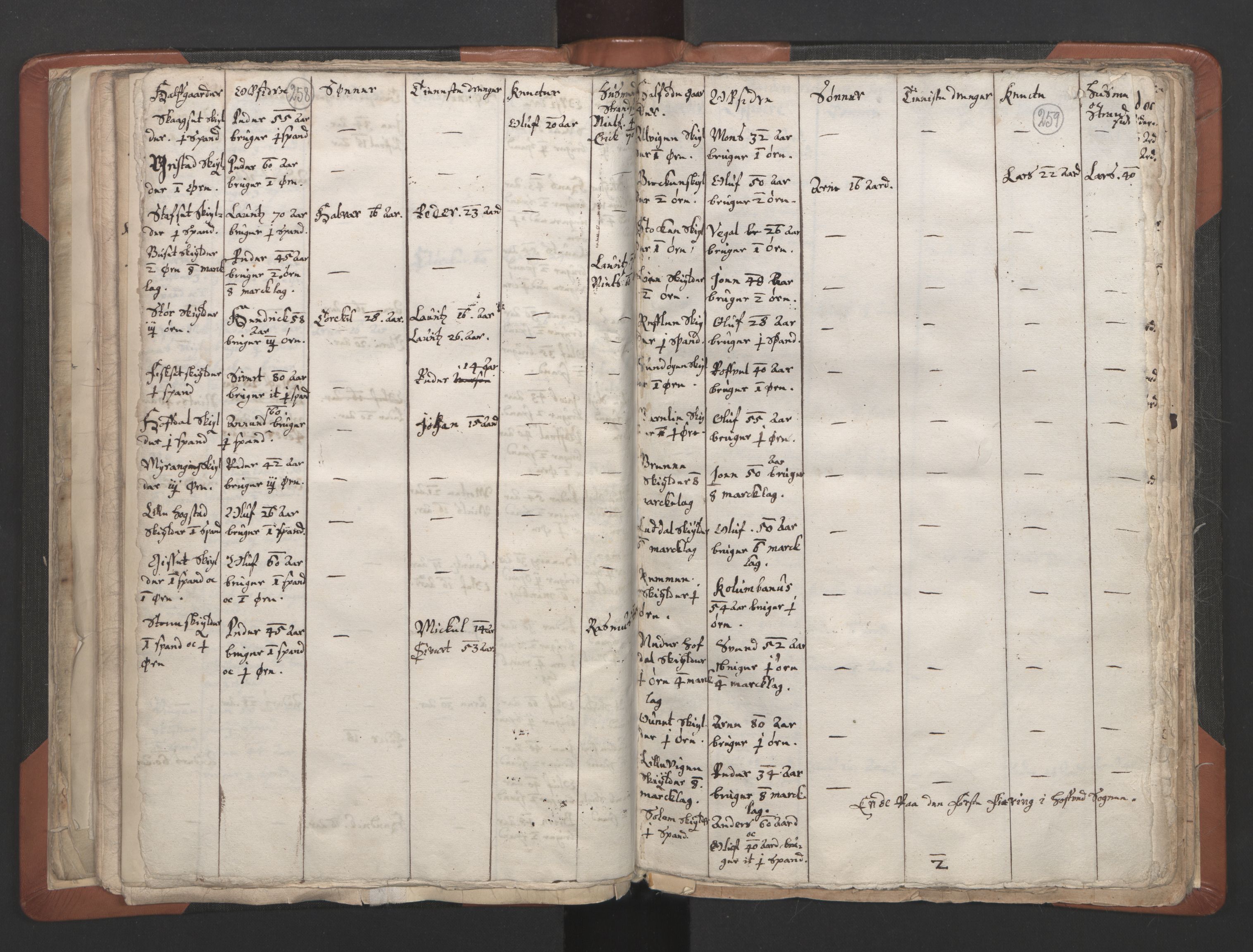RA, Vicar's Census 1664-1666, no. 32: Innherad deanery, 1664-1666, p. 258-259