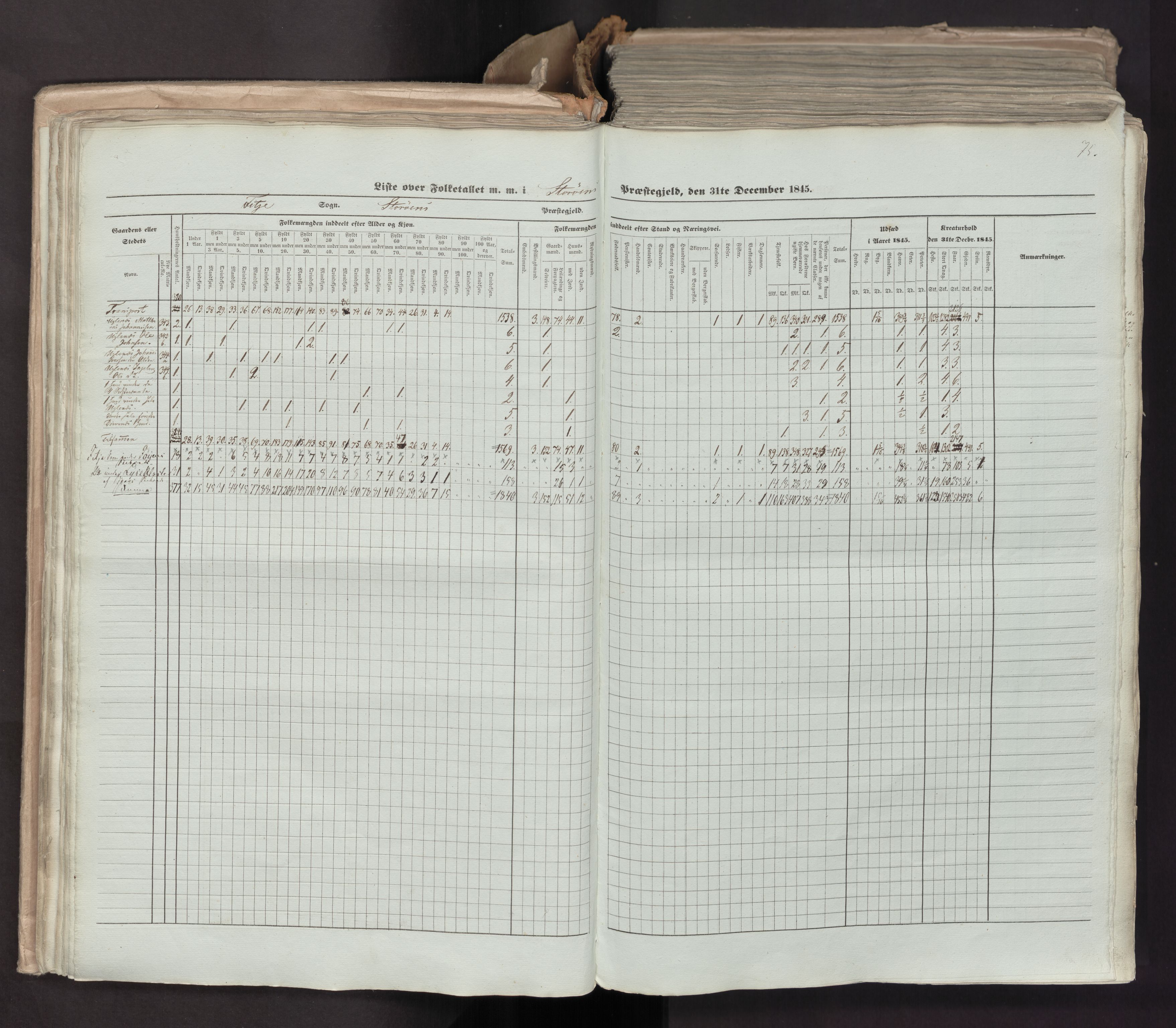 RA, Census 1845, vol. 7: Søndre Bergenhus amt og Nordre Bergenhus amt, 1845, p. 75