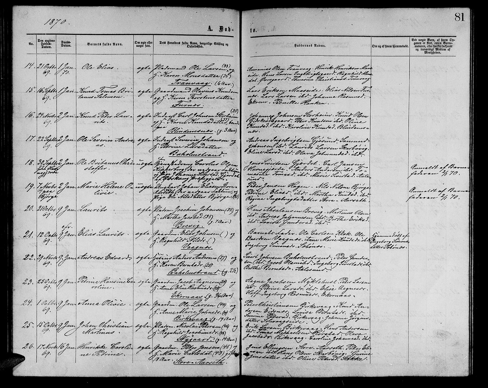 Ministerialprotokoller, klokkerbøker og fødselsregistre - Møre og Romsdal, AV/SAT-A-1454/528/L0428: Parish register (copy) no. 528C09, 1864-1880, p. 81