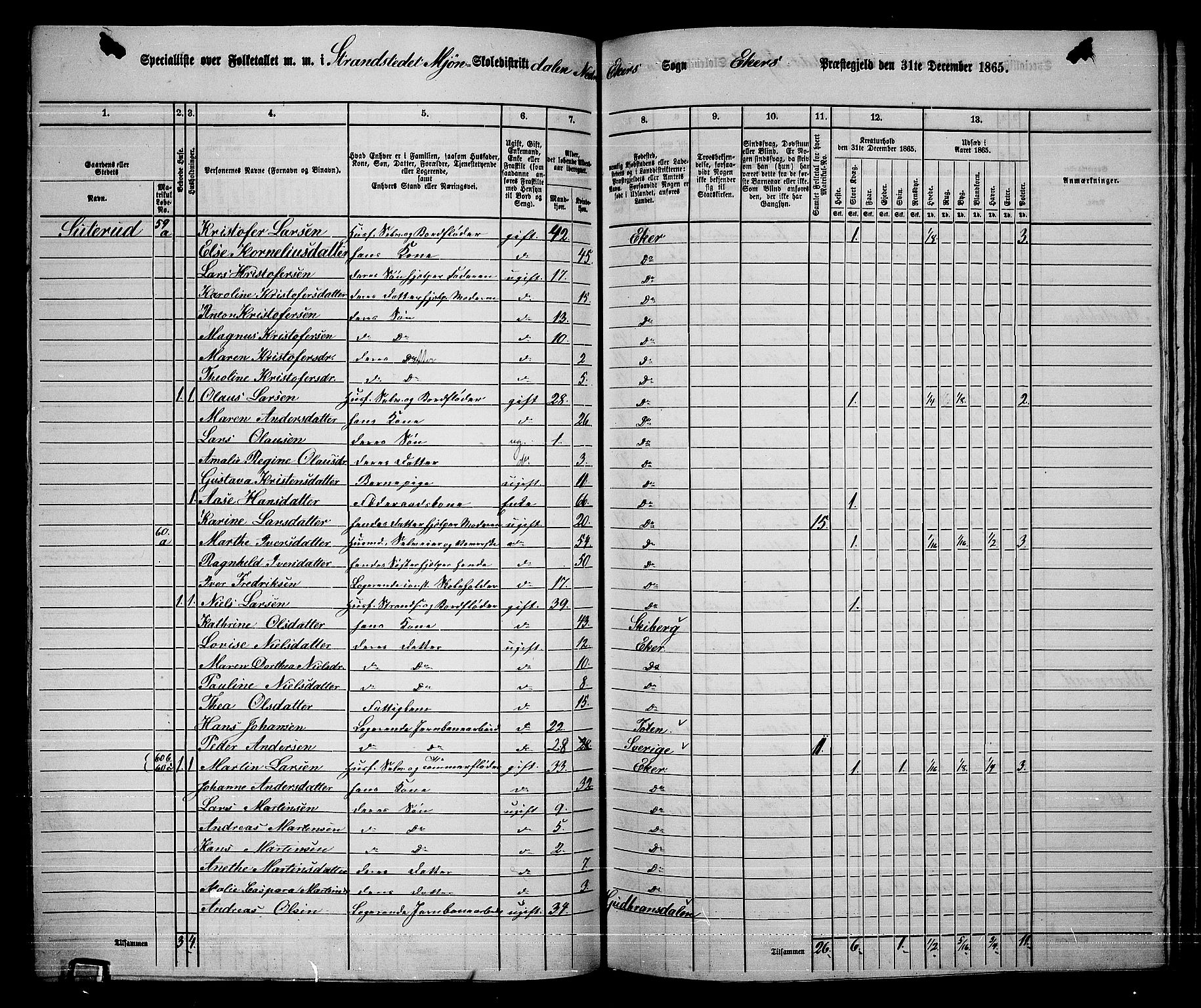 RA, 1865 census for Eiker, 1865, p. 407