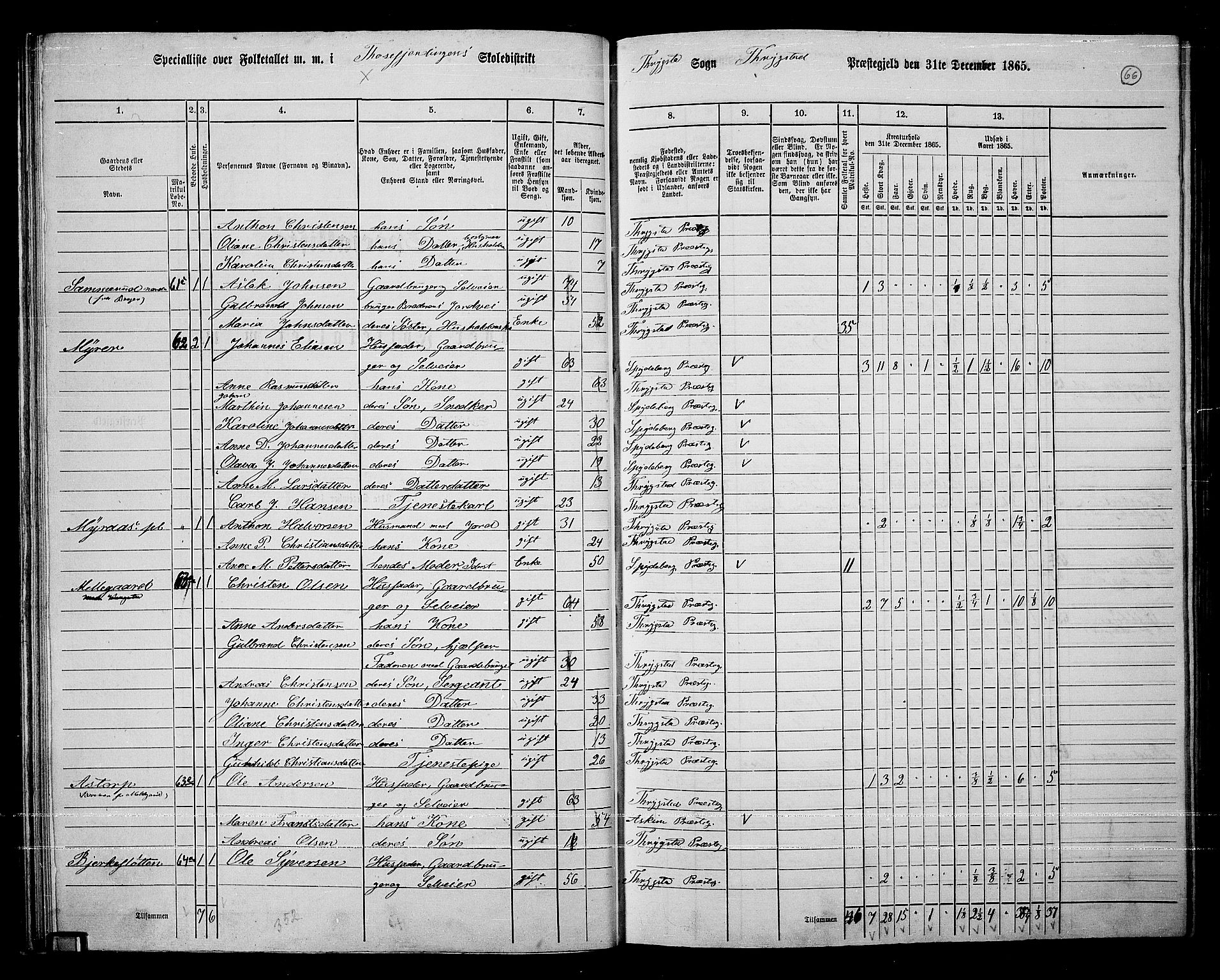 RA, 1865 census for Trøgstad, 1865, p. 60