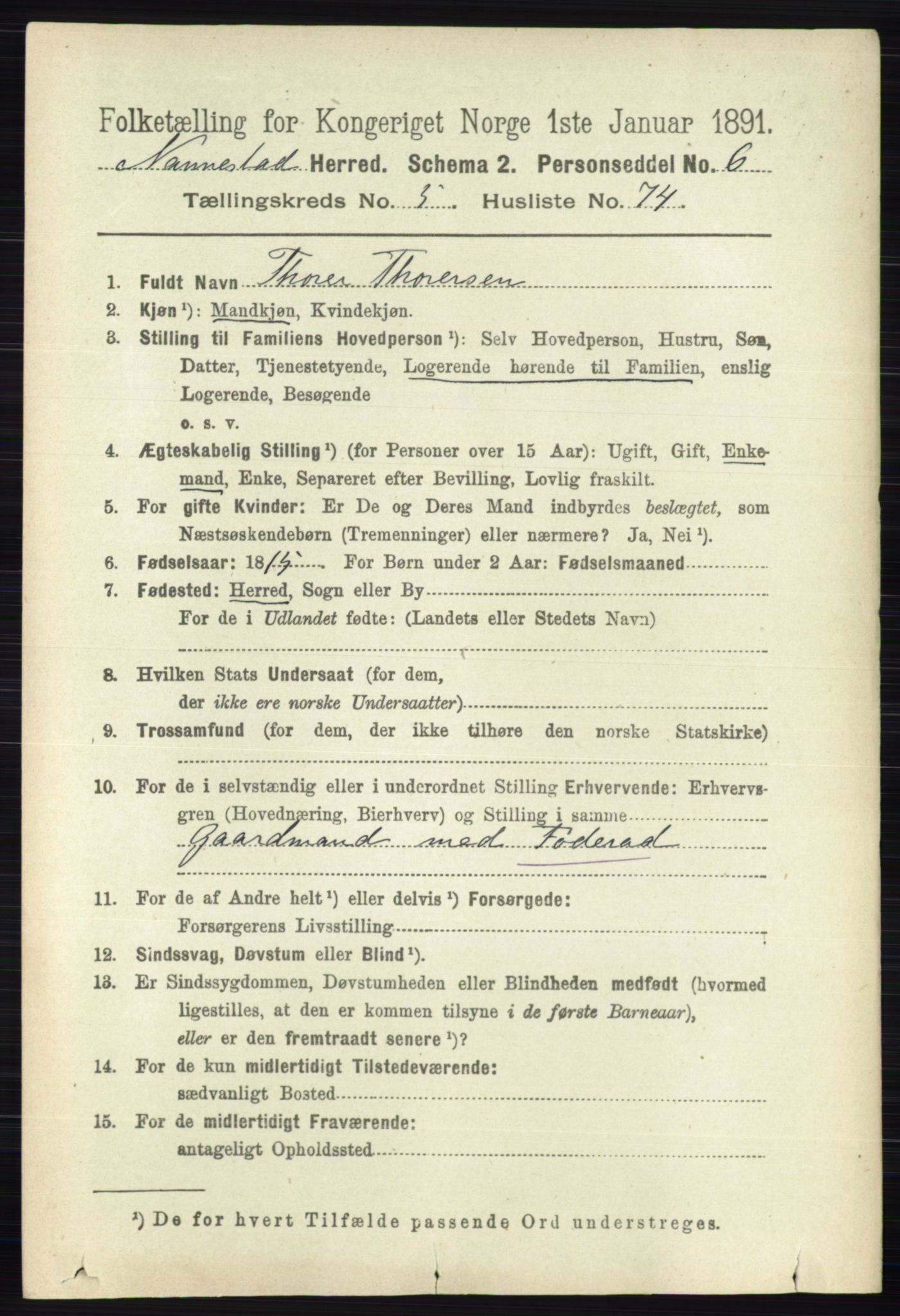 RA, 1891 census for 0238 Nannestad, 1891, p. 2993