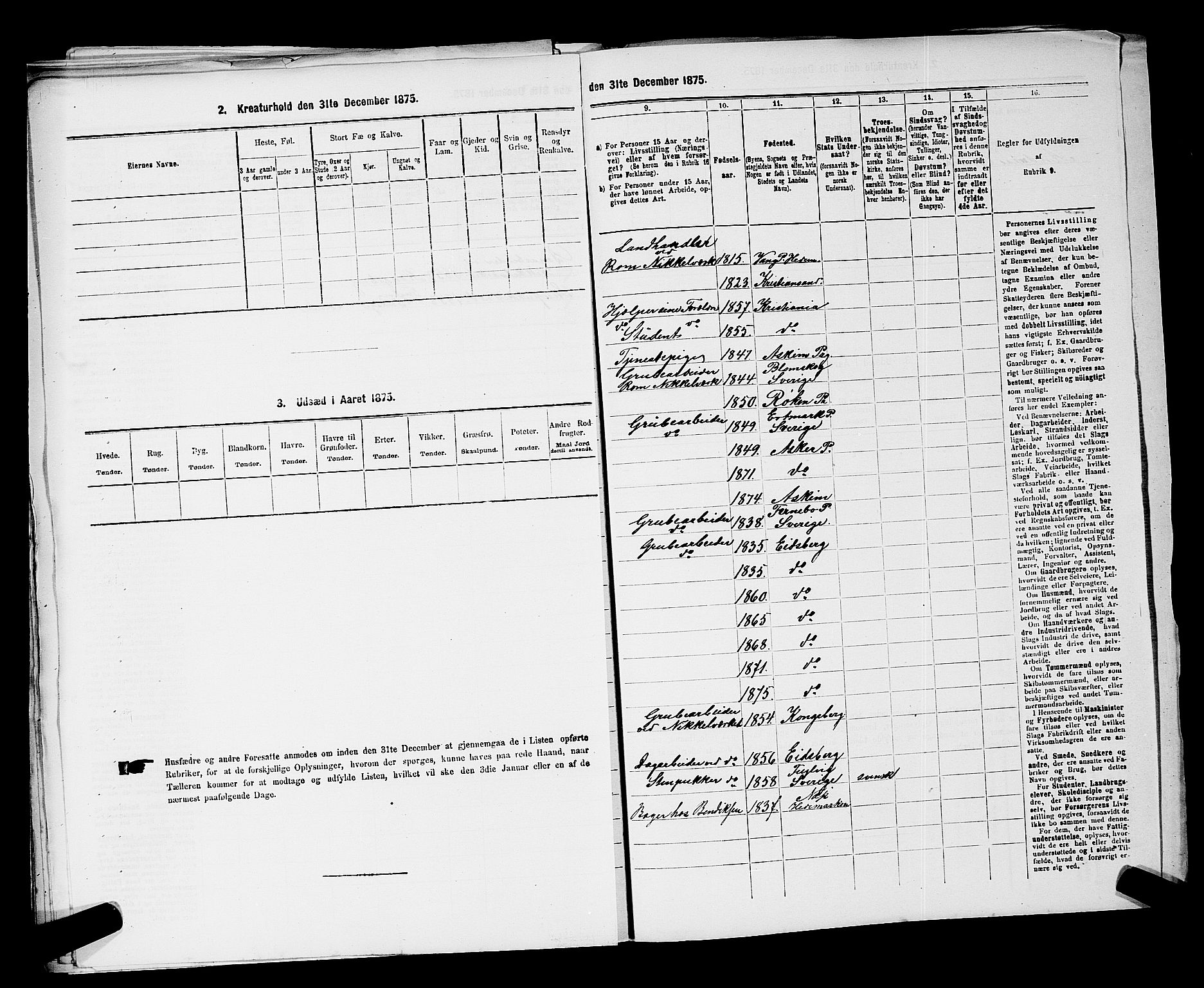 RA, 1875 census for 0124P Askim, 1875, p. 809