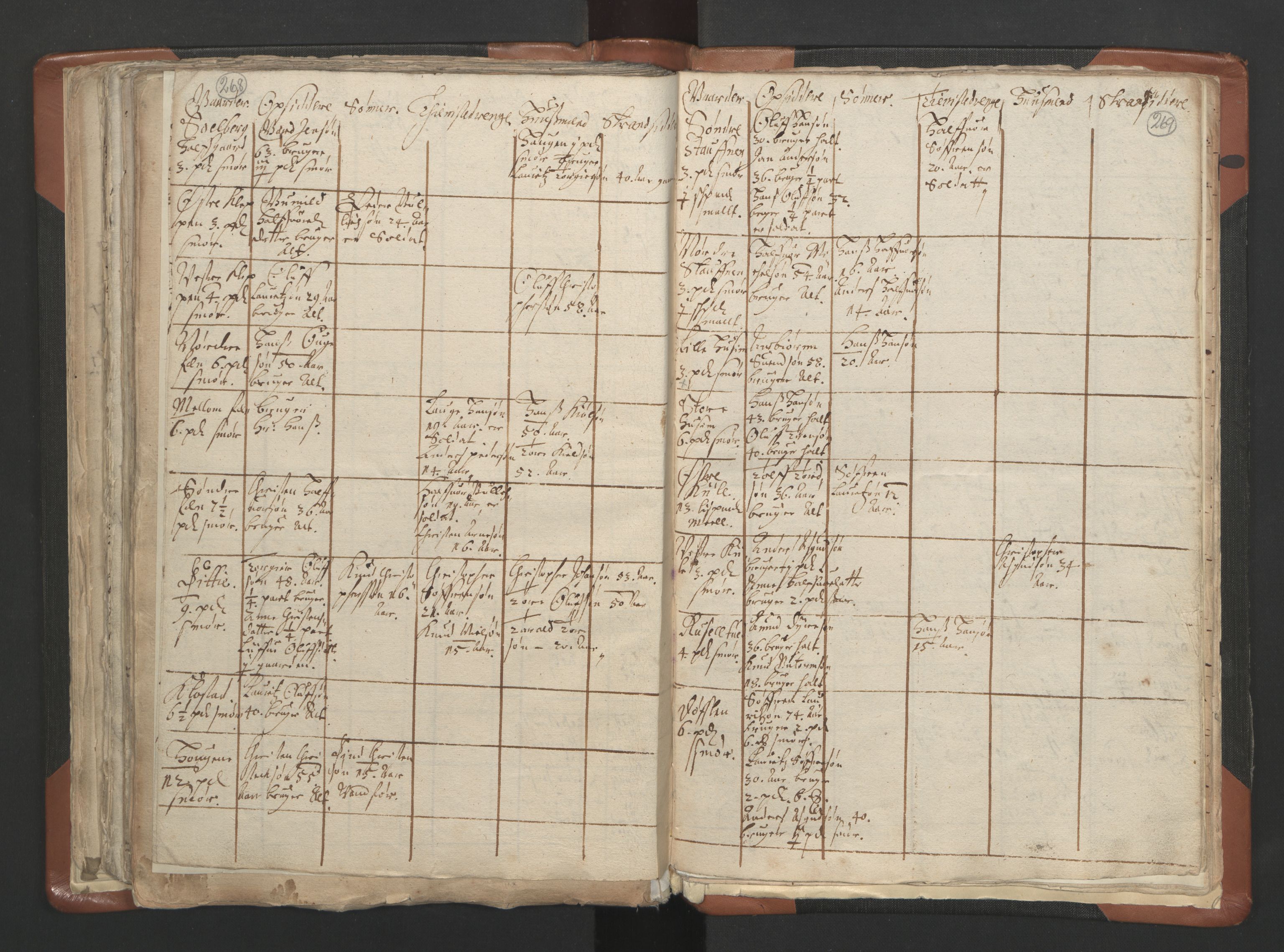 RA, Vicar's Census 1664-1666, no. 10: Tønsberg deanery, 1664-1666, p. 268-269