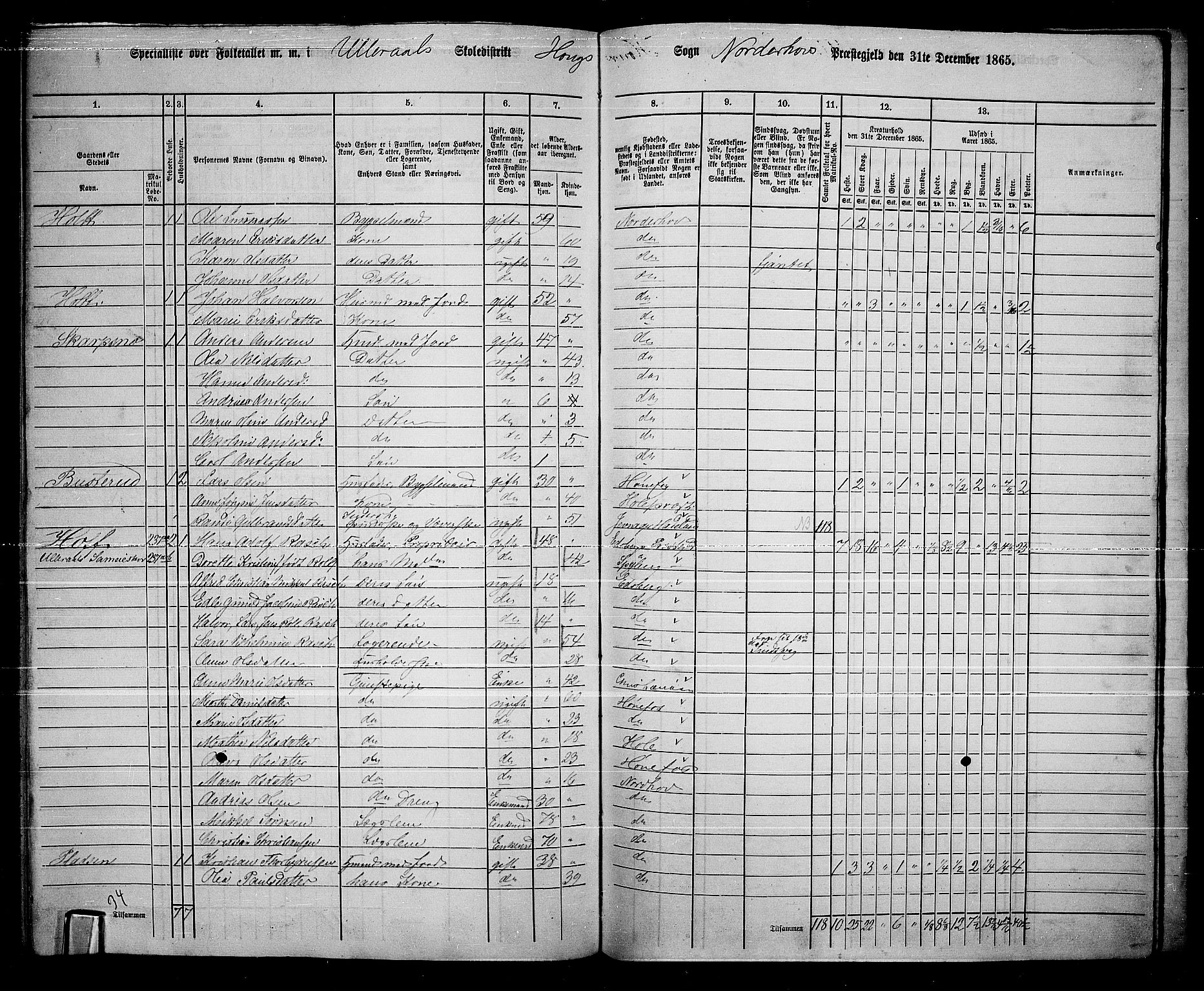 RA, 1865 census for Norderhov/Norderhov, Haug og Lunder, 1865, p. 269