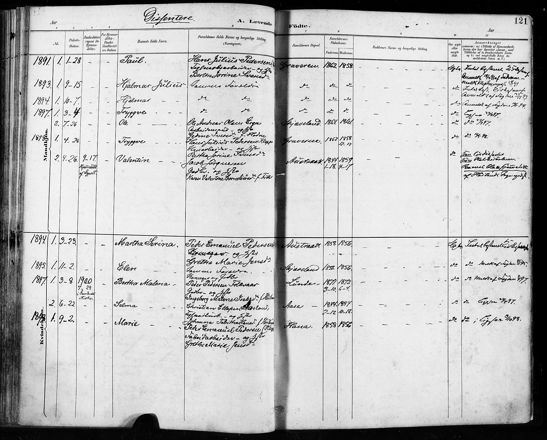 Høyland sokneprestkontor, SAST/A-101799/001/30BA/L0013: Parish register (official) no. A 13.1, 1889-1898, p. 121