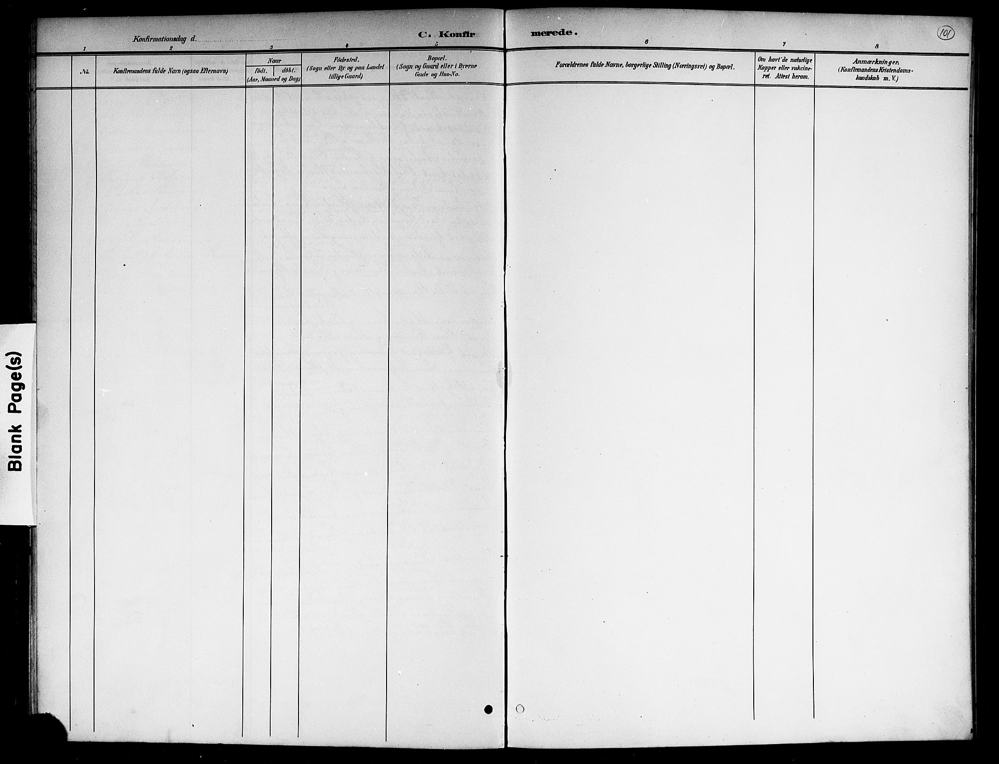 Hole kirkebøker, SAKO/A-228/G/Gb/L0004: Parish register (copy) no. II 4, 1901-1916, p. 101
