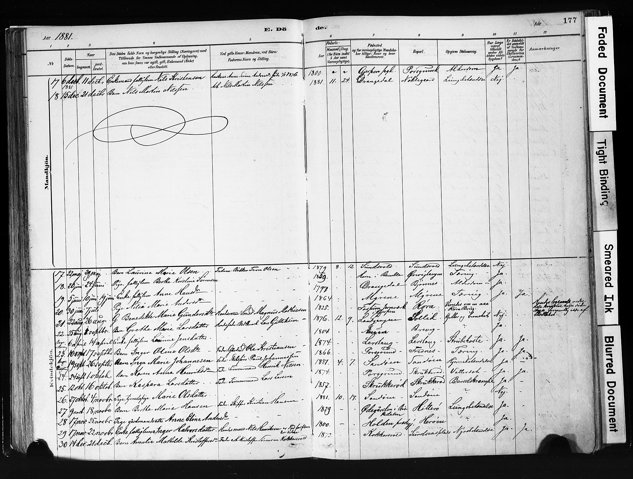 Eidanger kirkebøker, SAKO/A-261/F/Fa/L0012: Parish register (official) no. 12, 1879-1900, p. 177