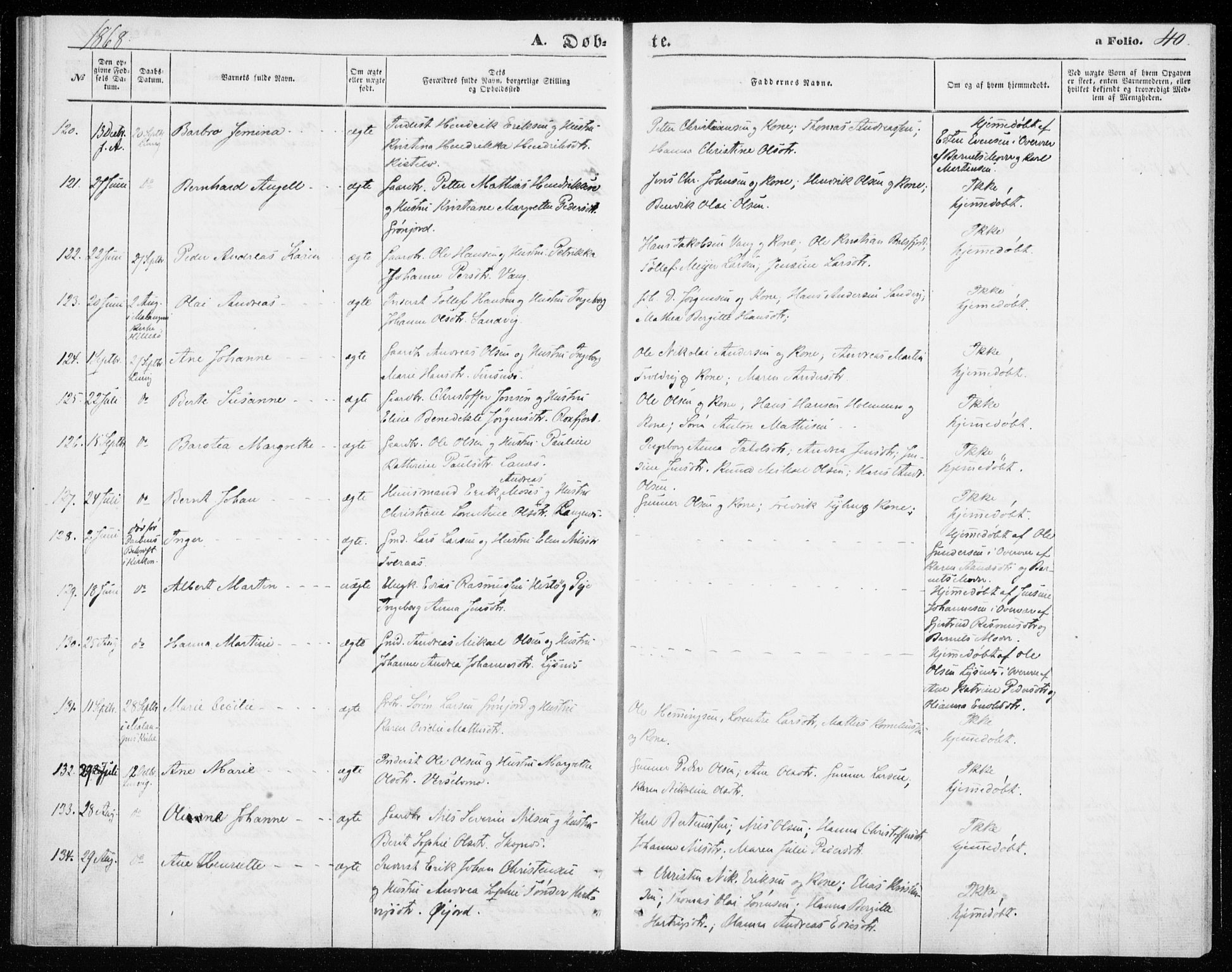 Lenvik sokneprestembete, SATØ/S-1310/H/Ha/Haa/L0009kirke: Parish register (official) no. 9, 1866-1873, p. 40