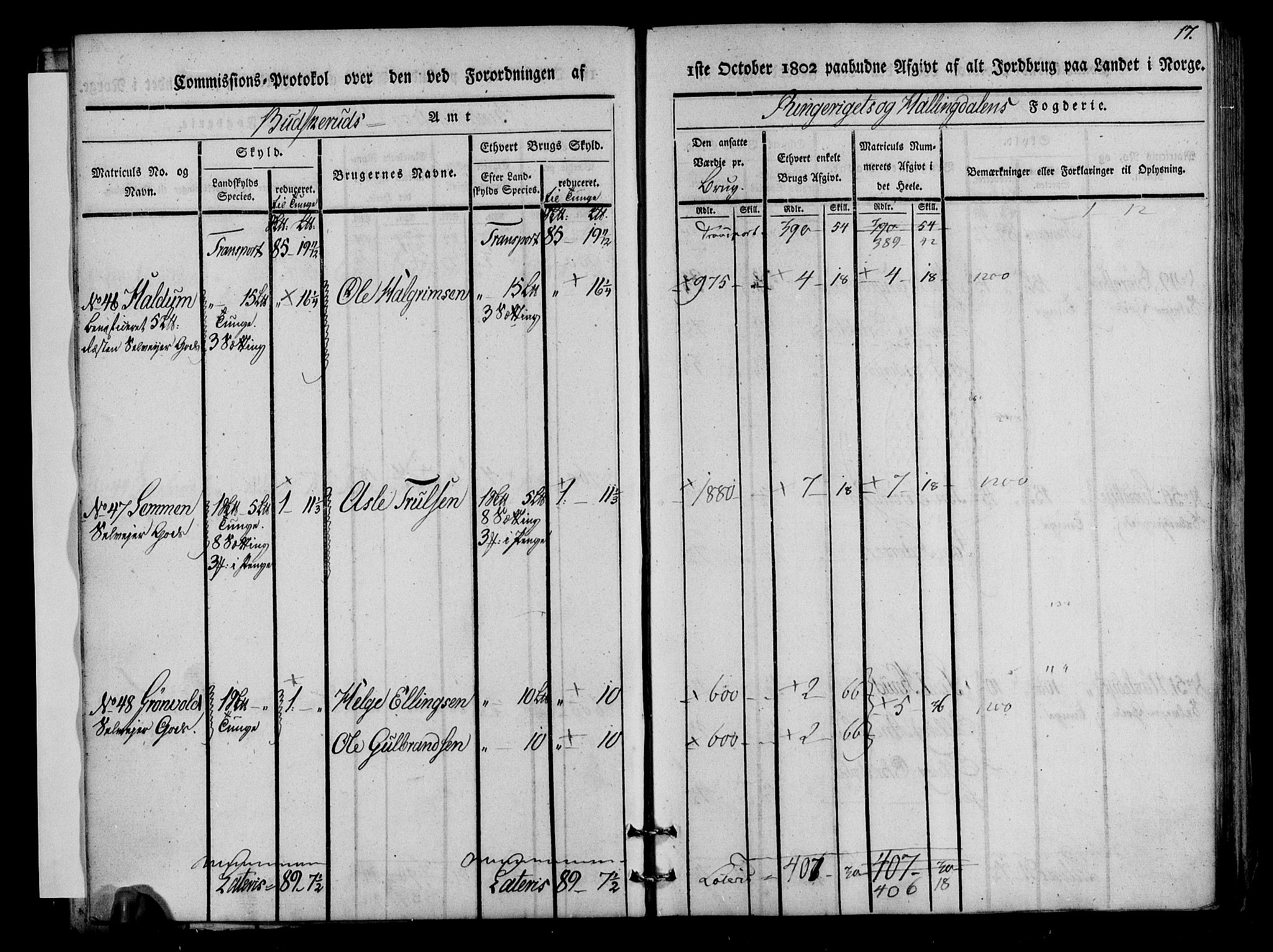 Rentekammeret inntil 1814, Realistisk ordnet avdeling, AV/RA-EA-4070/N/Ne/Nea/L0045: Ringerike og Hallingdal fogderi. Kommisjonsprotokoll for Norderhov prestegjeld, 1803, p. 19