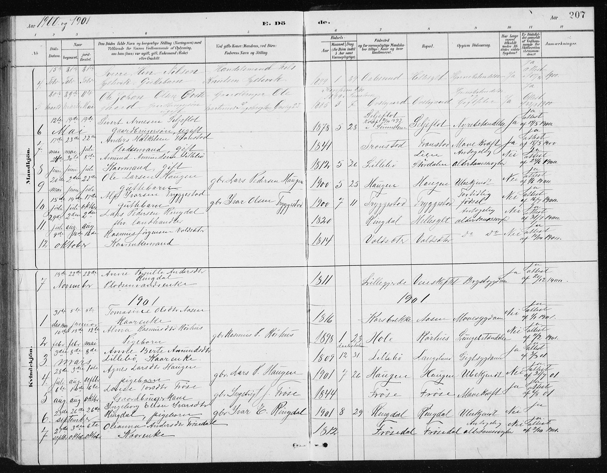 Ministerialprotokoller, klokkerbøker og fødselsregistre - Møre og Romsdal, SAT/A-1454/517/L0230: Parish register (copy) no. 517C03, 1879-1912, p. 207