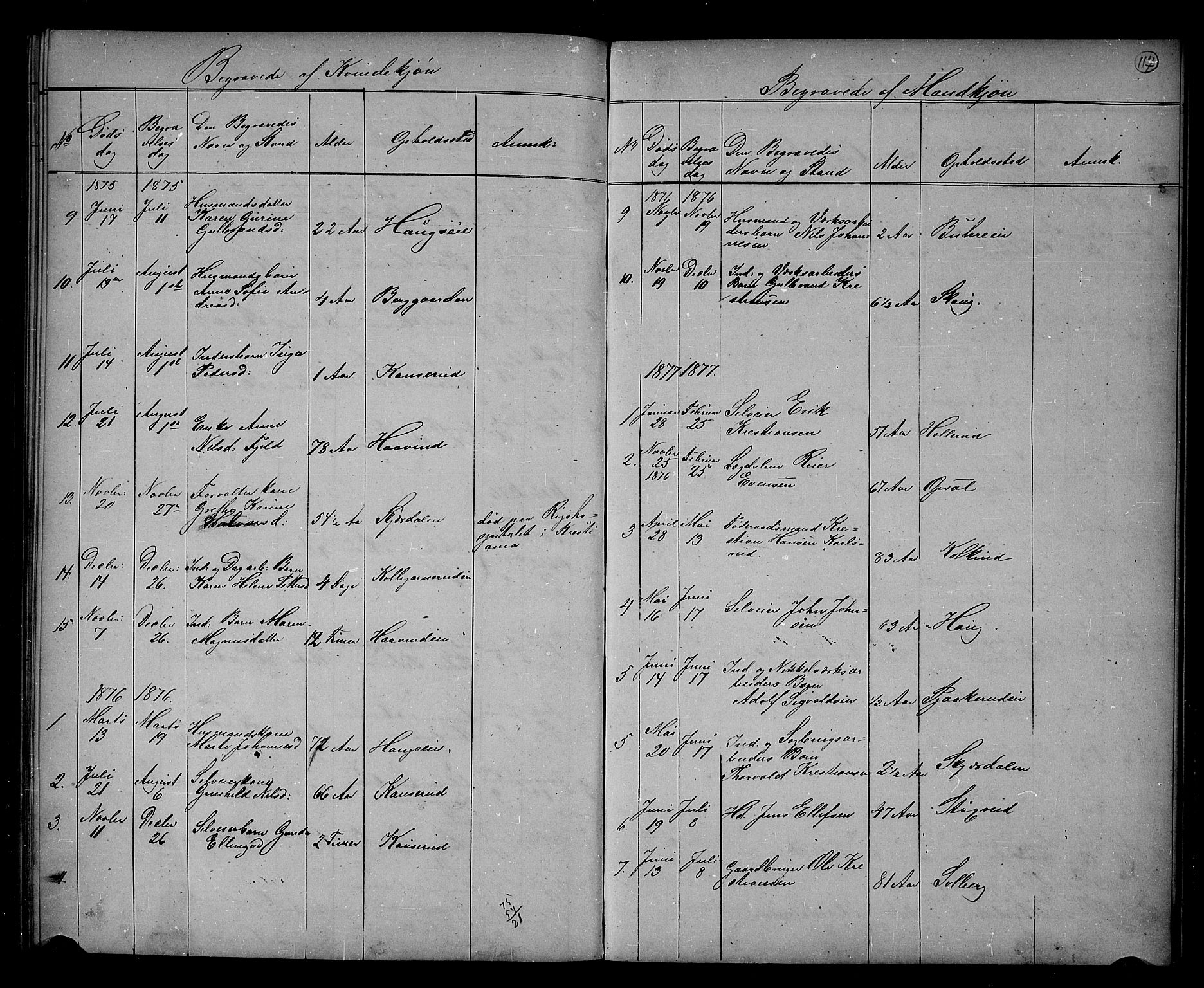 Hole kirkebøker, SAKO/A-228/G/Gb/L0001: Parish register (copy) no. II 1, 1859-1878, p. 117