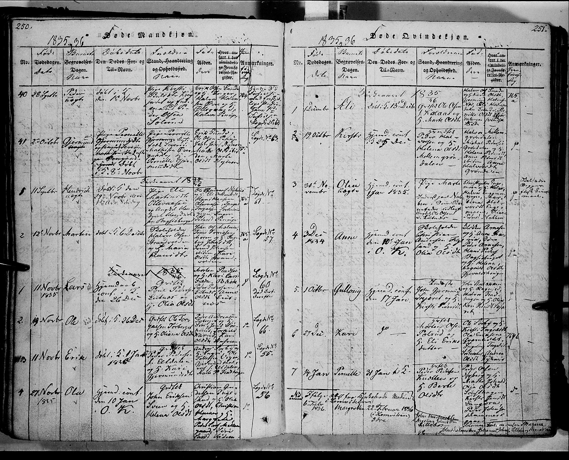 Trysil prestekontor, SAH/PREST-046/H/Ha/Haa/L0003: Parish register (official) no. 3 /1, 1814-1841, p. 250-251