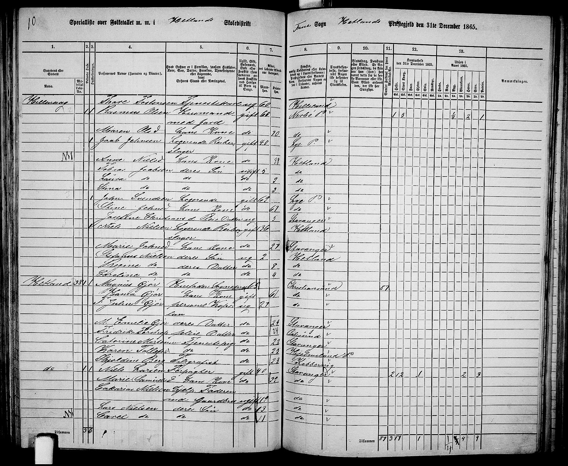 RA, 1865 census for Hetland, 1865, p. 137