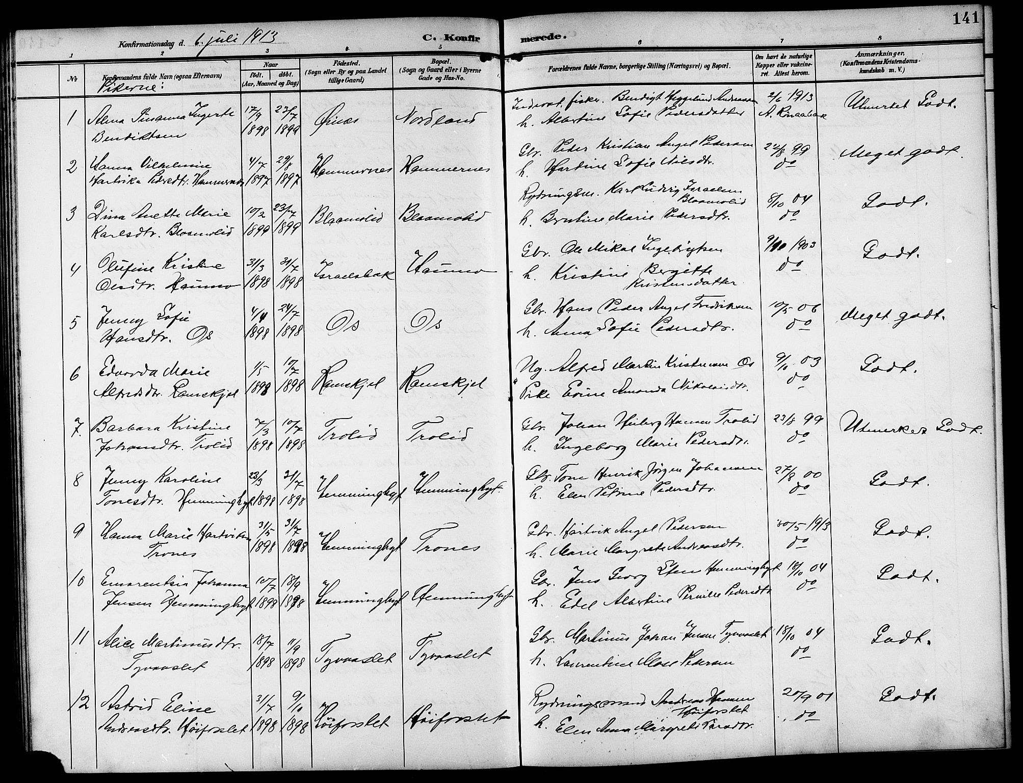 Ministerialprotokoller, klokkerbøker og fødselsregistre - Nordland, AV/SAT-A-1459/846/L0655: Parish register (copy) no. 846C05, 1902-1916, p. 141