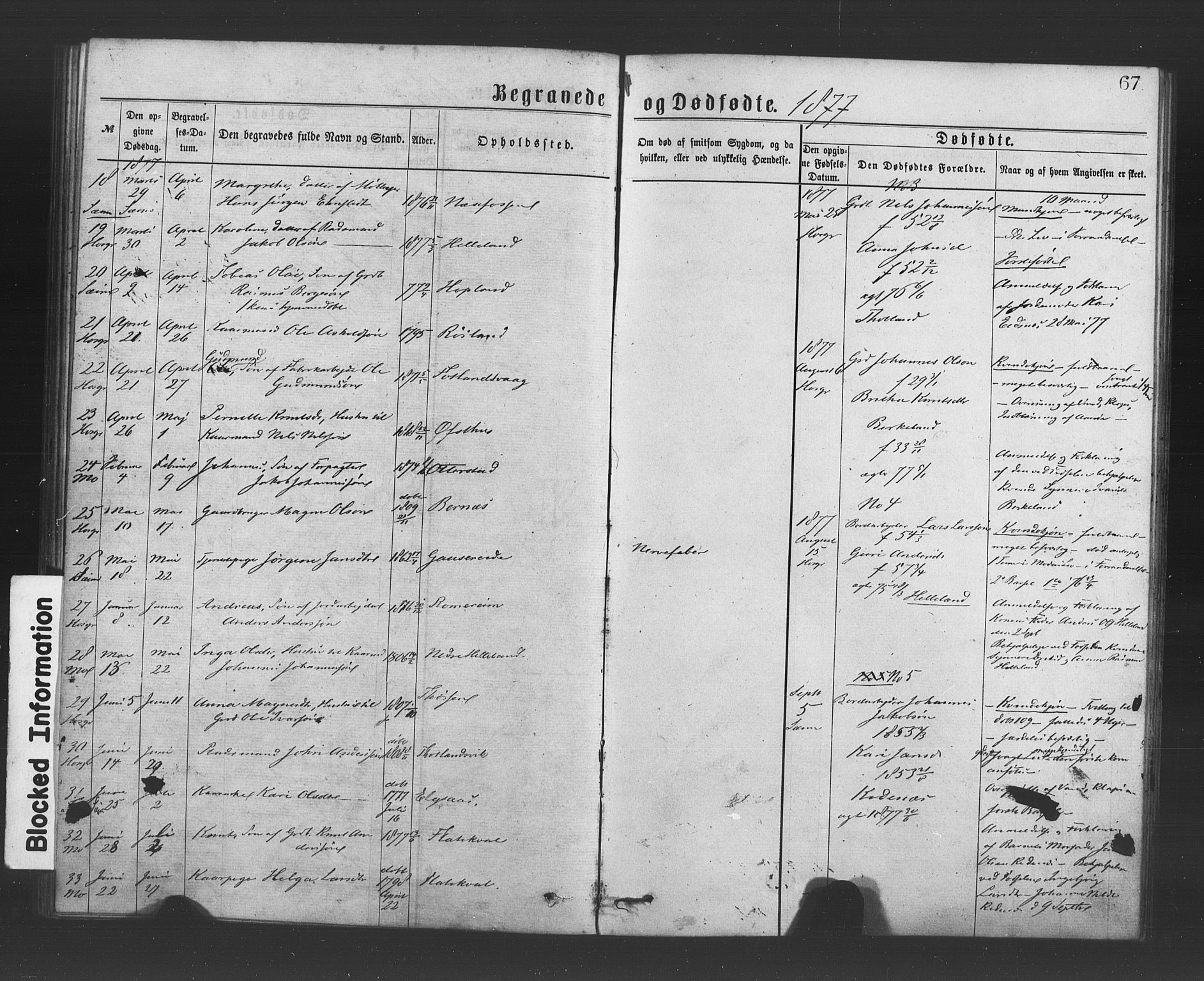 Hosanger sokneprestembete, AV/SAB-A-75801/H/Haa: Parish register (official) no. A 10, 1877-1879, p. 67