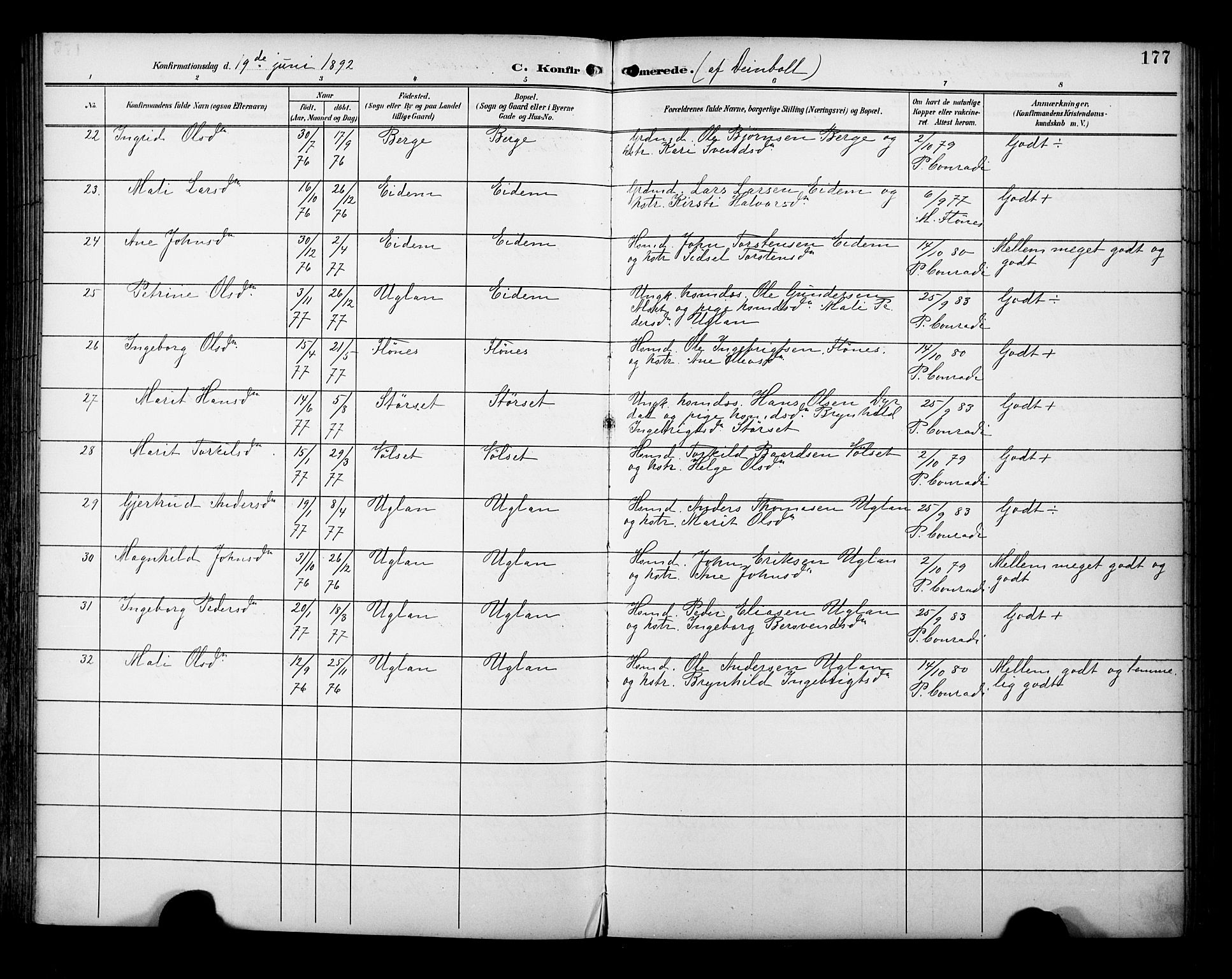 Ministerialprotokoller, klokkerbøker og fødselsregistre - Sør-Trøndelag, SAT/A-1456/695/L1149: Parish register (official) no. 695A09, 1891-1902, p. 177