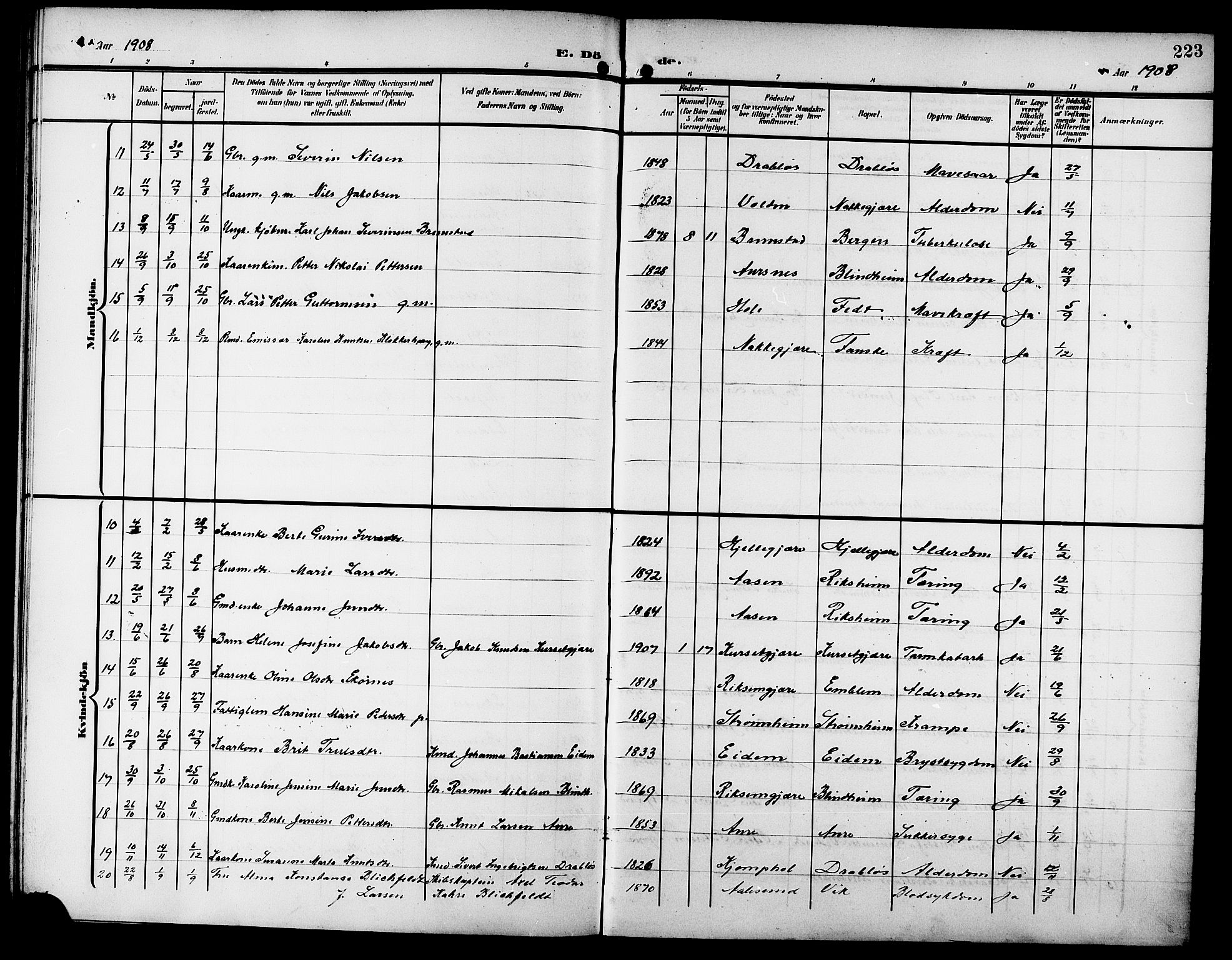 Ministerialprotokoller, klokkerbøker og fødselsregistre - Møre og Romsdal, SAT/A-1454/523/L0341: Parish register (copy) no. 523C04, 1903-1916, p. 223