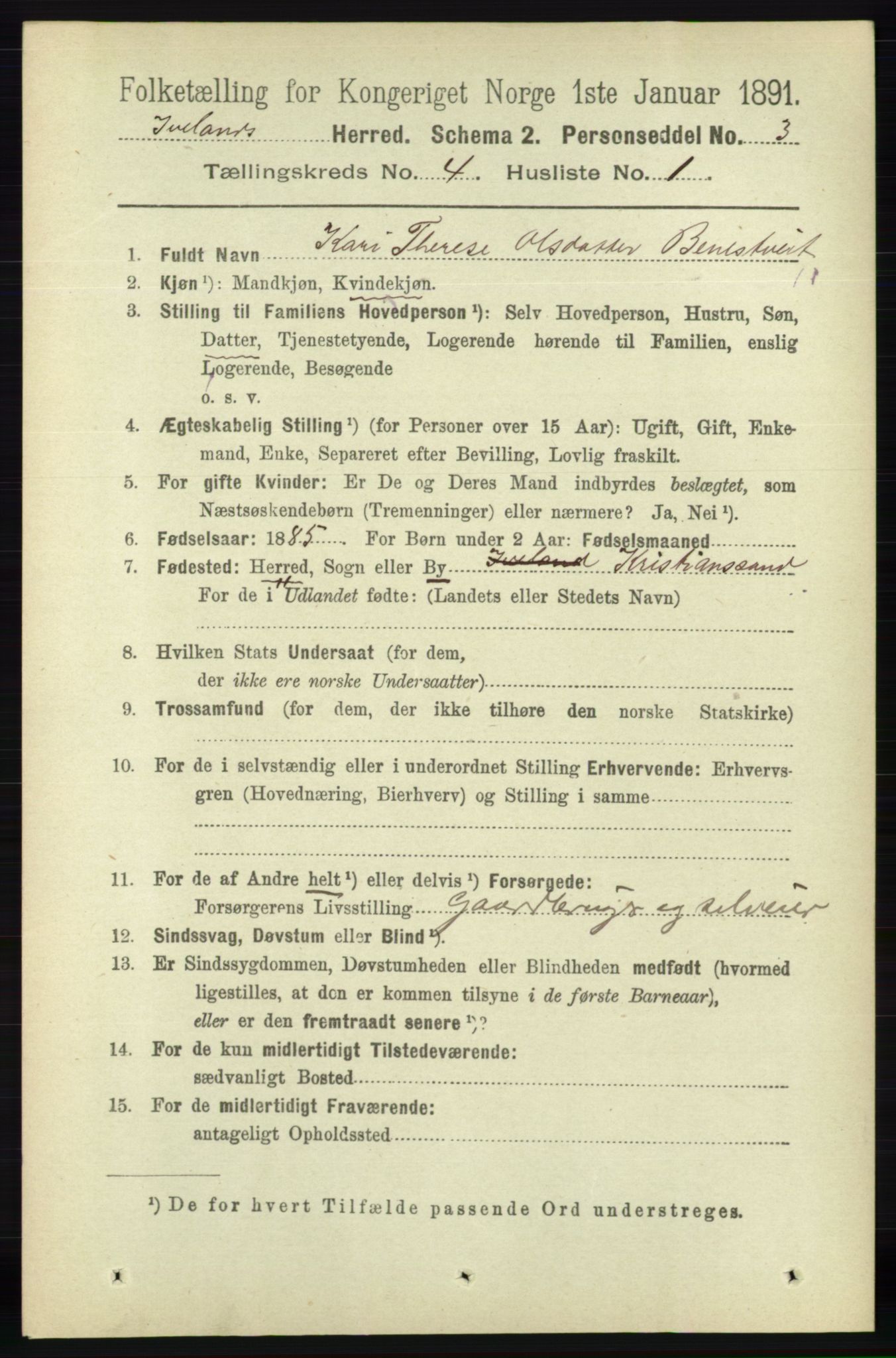 RA, 1891 census for 0935 Iveland, 1891, p. 1025