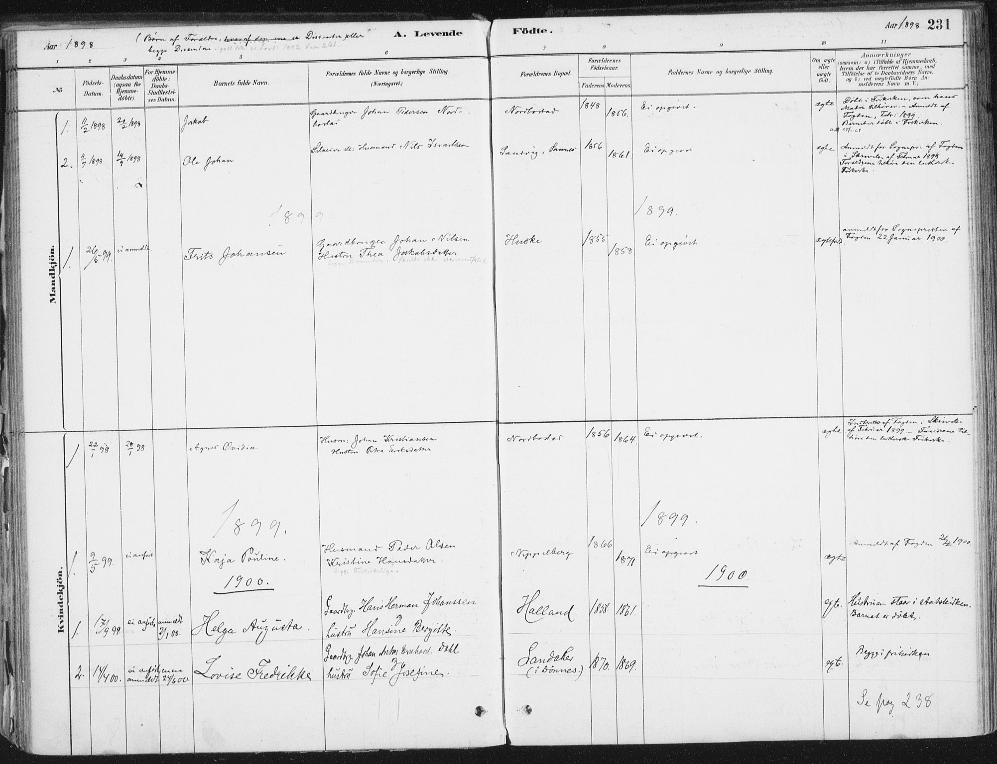 Ministerialprotokoller, klokkerbøker og fødselsregistre - Nordland, AV/SAT-A-1459/838/L0552: Parish register (official) no. 838A10, 1880-1910, p. 231