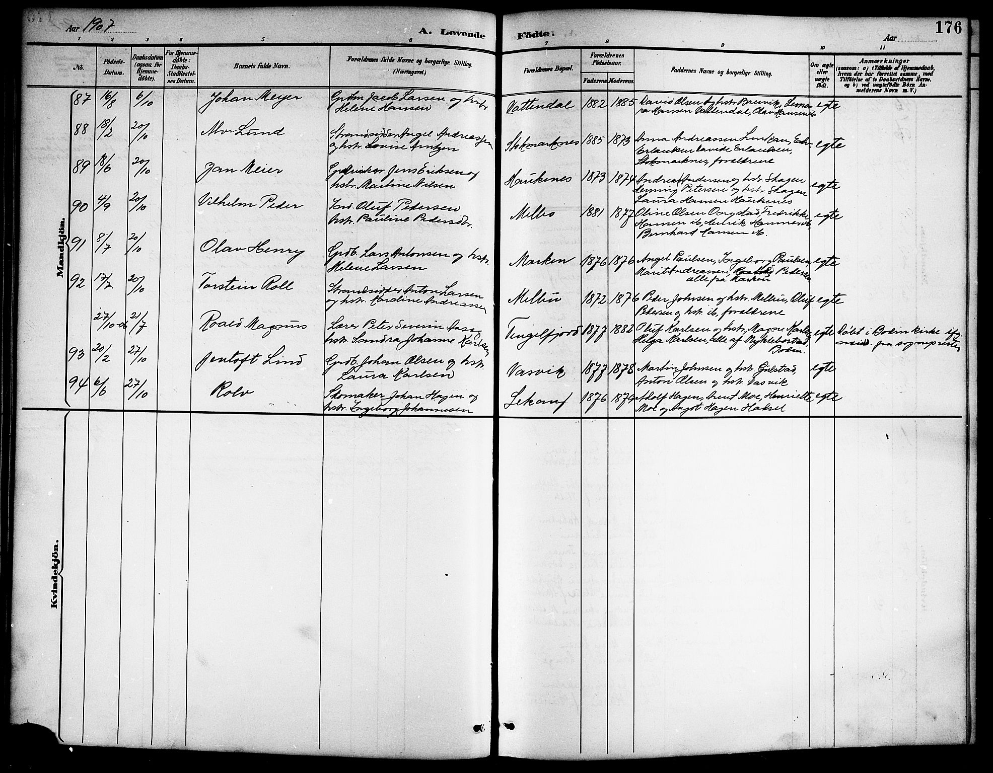 Ministerialprotokoller, klokkerbøker og fødselsregistre - Nordland, AV/SAT-A-1459/888/L1268: Parish register (copy) no. 888C06, 1891-1908, p. 176