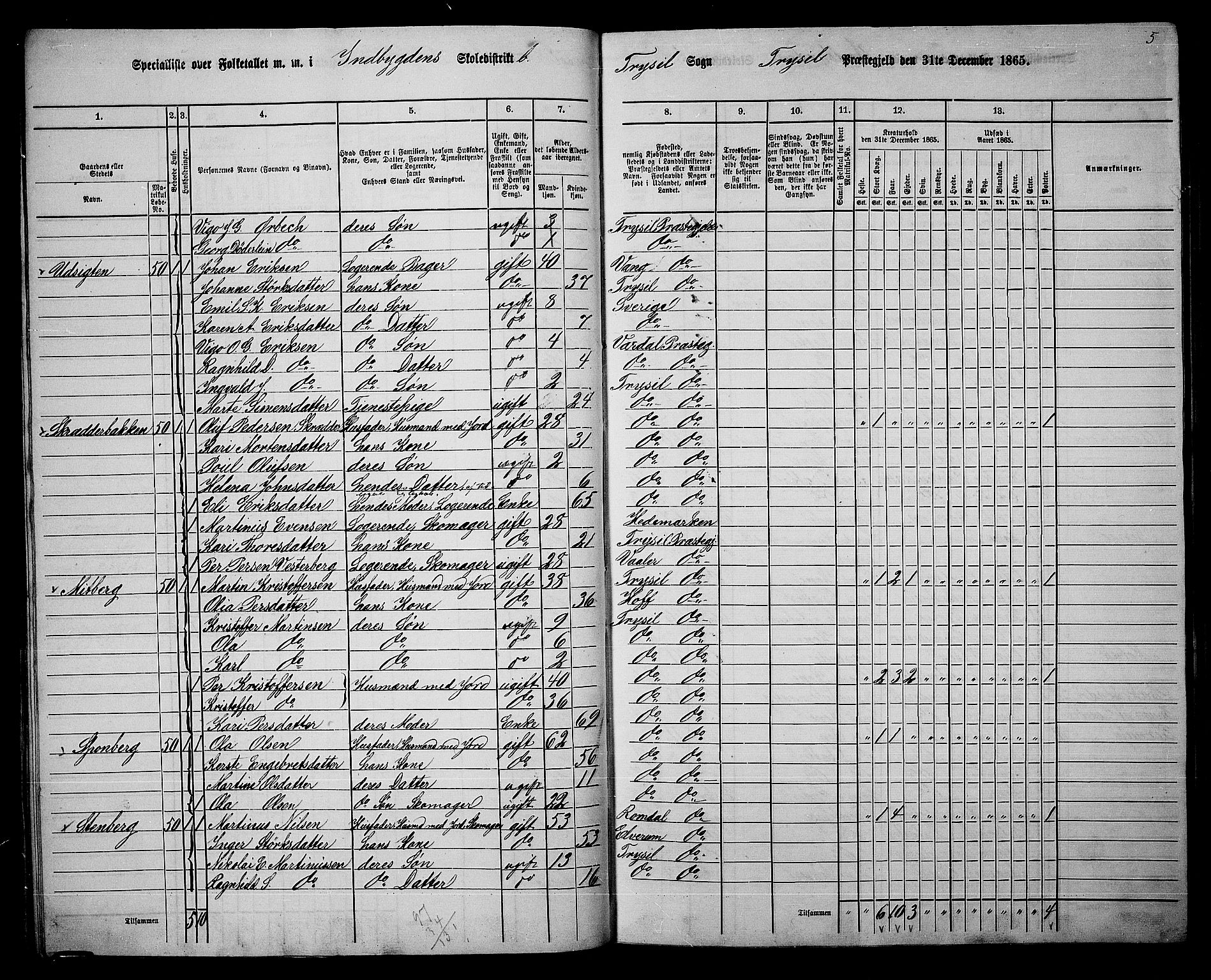 RA, 1865 census for Trysil, 1865, p. 34