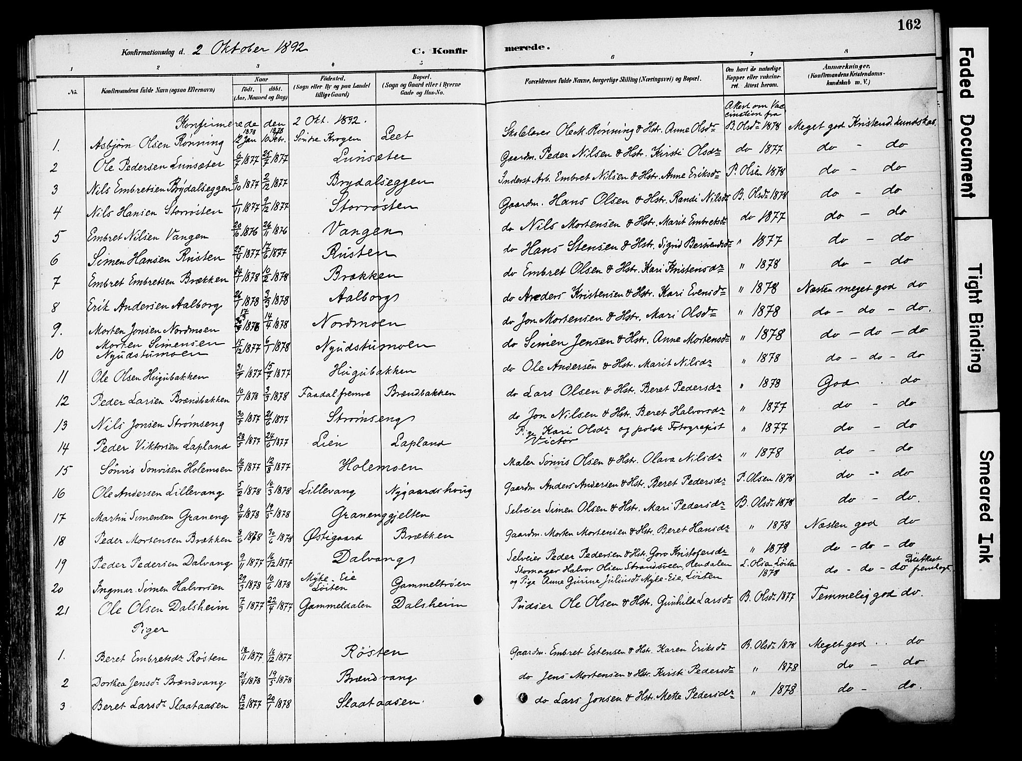 Tynset prestekontor, SAH/PREST-058/H/Ha/Haa/L0022: Parish register (official) no. 22, 1880-1899, p. 162