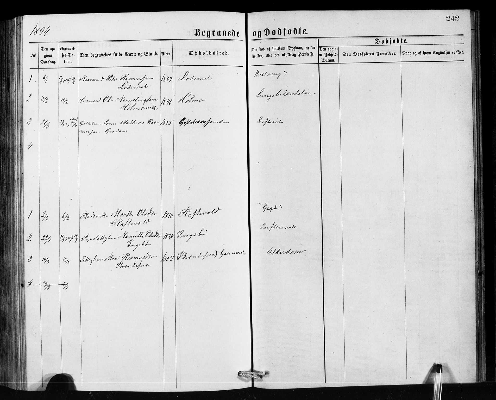 Hornindal sokneprestembete, AV/SAB-A-82401/H/Hab: Parish register (copy) no. A 1, 1876-1894, p. 242