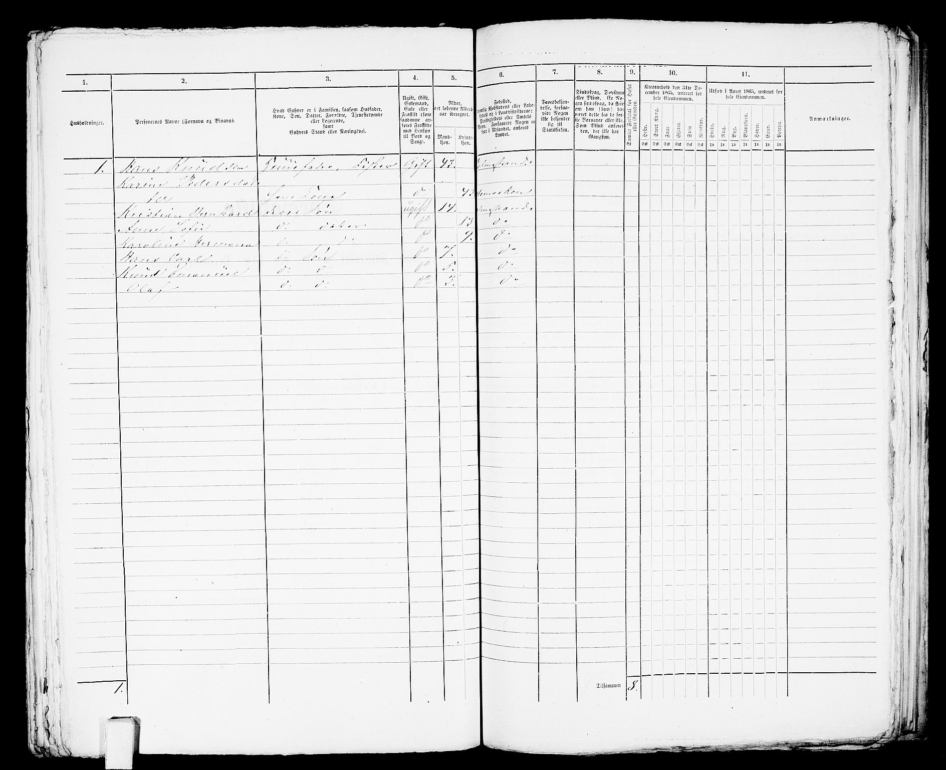 RA, 1865 census for Botne/Holmestrand, 1865, p. 313