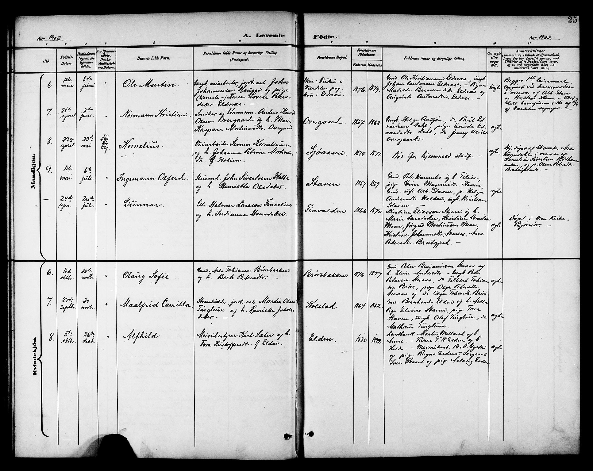 Ministerialprotokoller, klokkerbøker og fødselsregistre - Nord-Trøndelag, AV/SAT-A-1458/742/L0412: Parish register (copy) no. 742C03, 1898-1910, p. 25