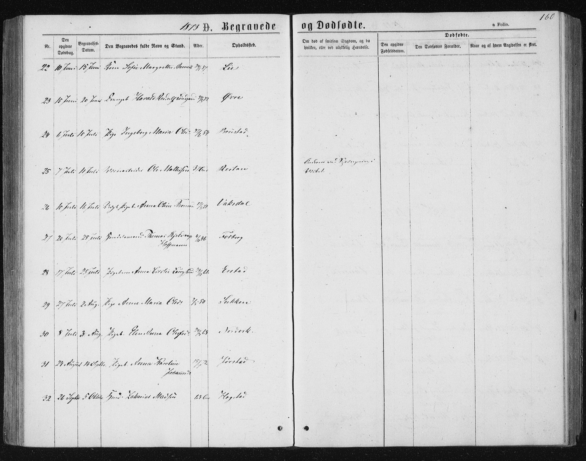 Ministerialprotokoller, klokkerbøker og fødselsregistre - Nord-Trøndelag, SAT/A-1458/722/L0219: Parish register (official) no. 722A06, 1868-1880, p. 160