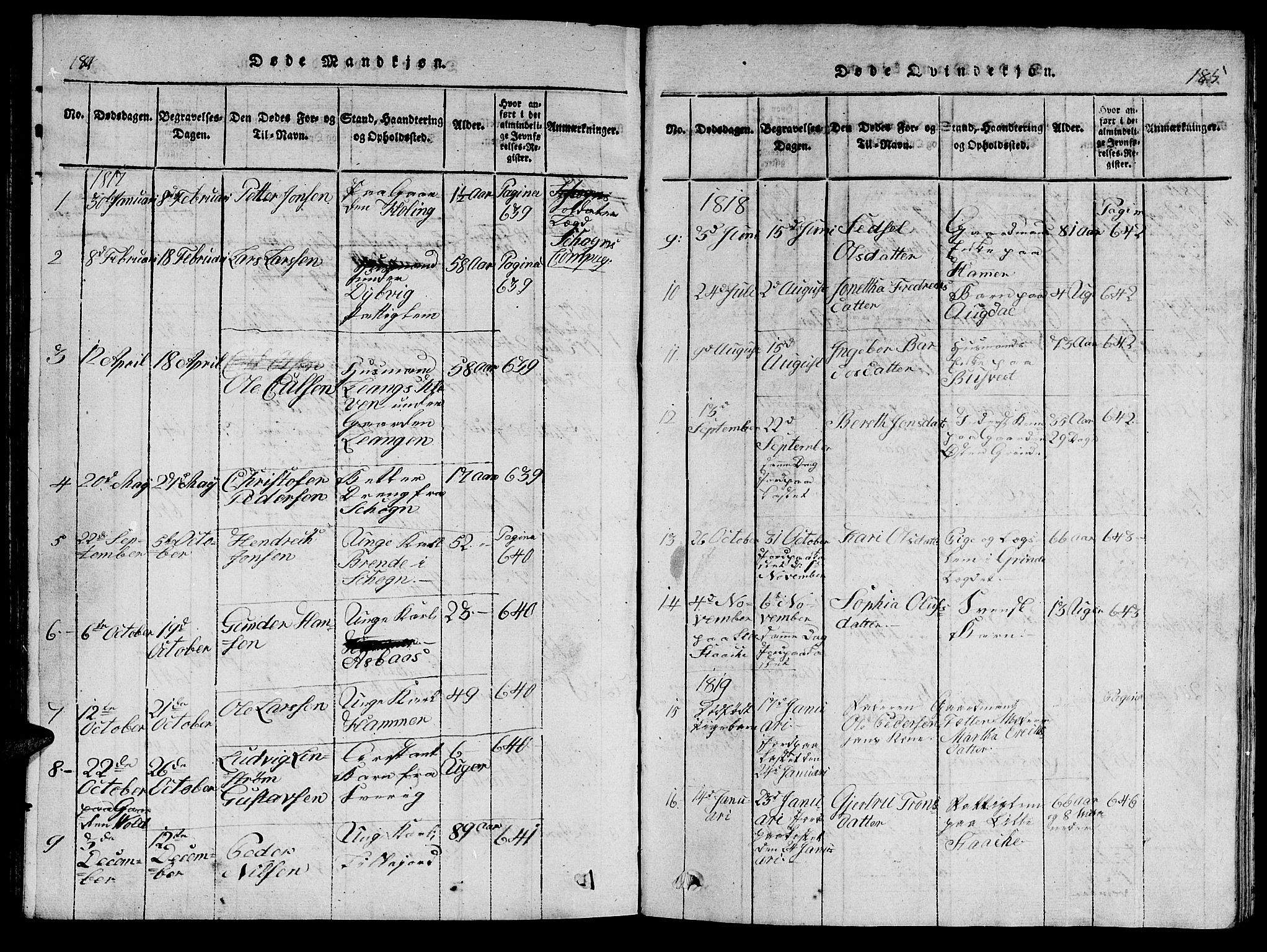 Ministerialprotokoller, klokkerbøker og fødselsregistre - Nord-Trøndelag, AV/SAT-A-1458/714/L0132: Parish register (copy) no. 714C01, 1817-1824, p. 184-185