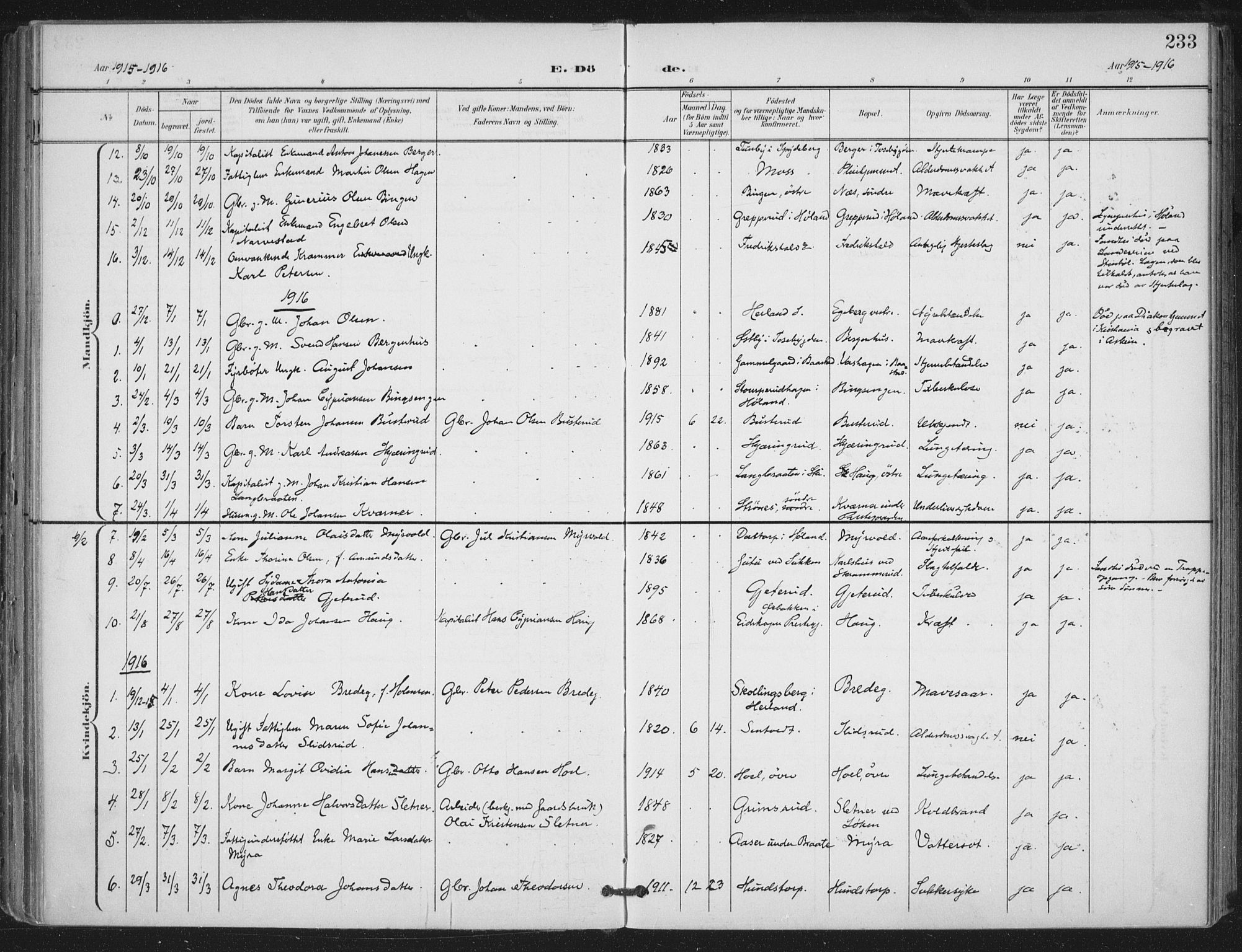 Trøgstad prestekontor Kirkebøker, SAO/A-10925/F/Fa/L0011: Parish register (official) no. I 11, 1899-1919, p. 233