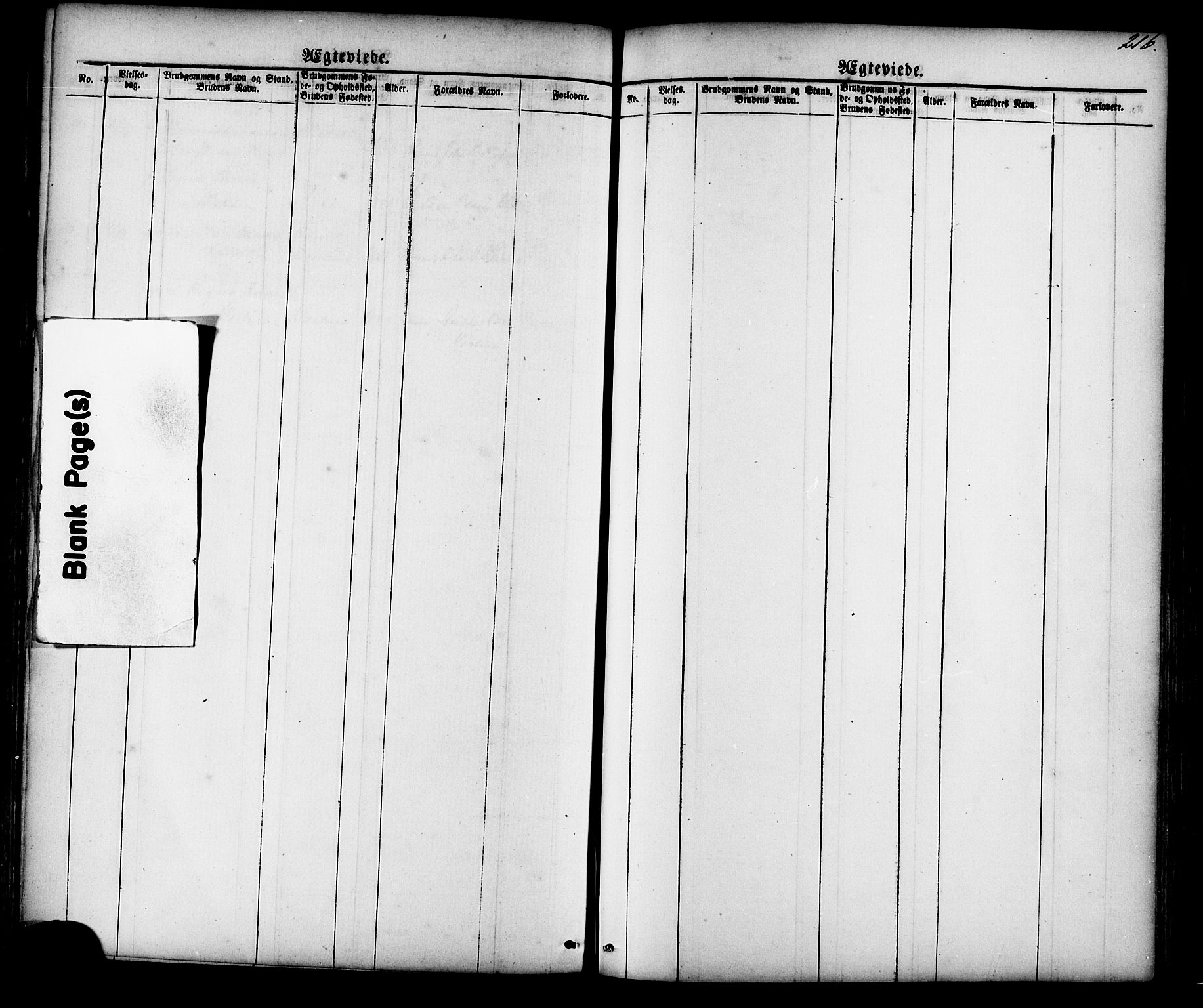 Ministerialprotokoller, klokkerbøker og fødselsregistre - Møre og Romsdal, AV/SAT-A-1454/539/L0536: Parish register (copy) no. 539C02, 1867-1913, p. 216