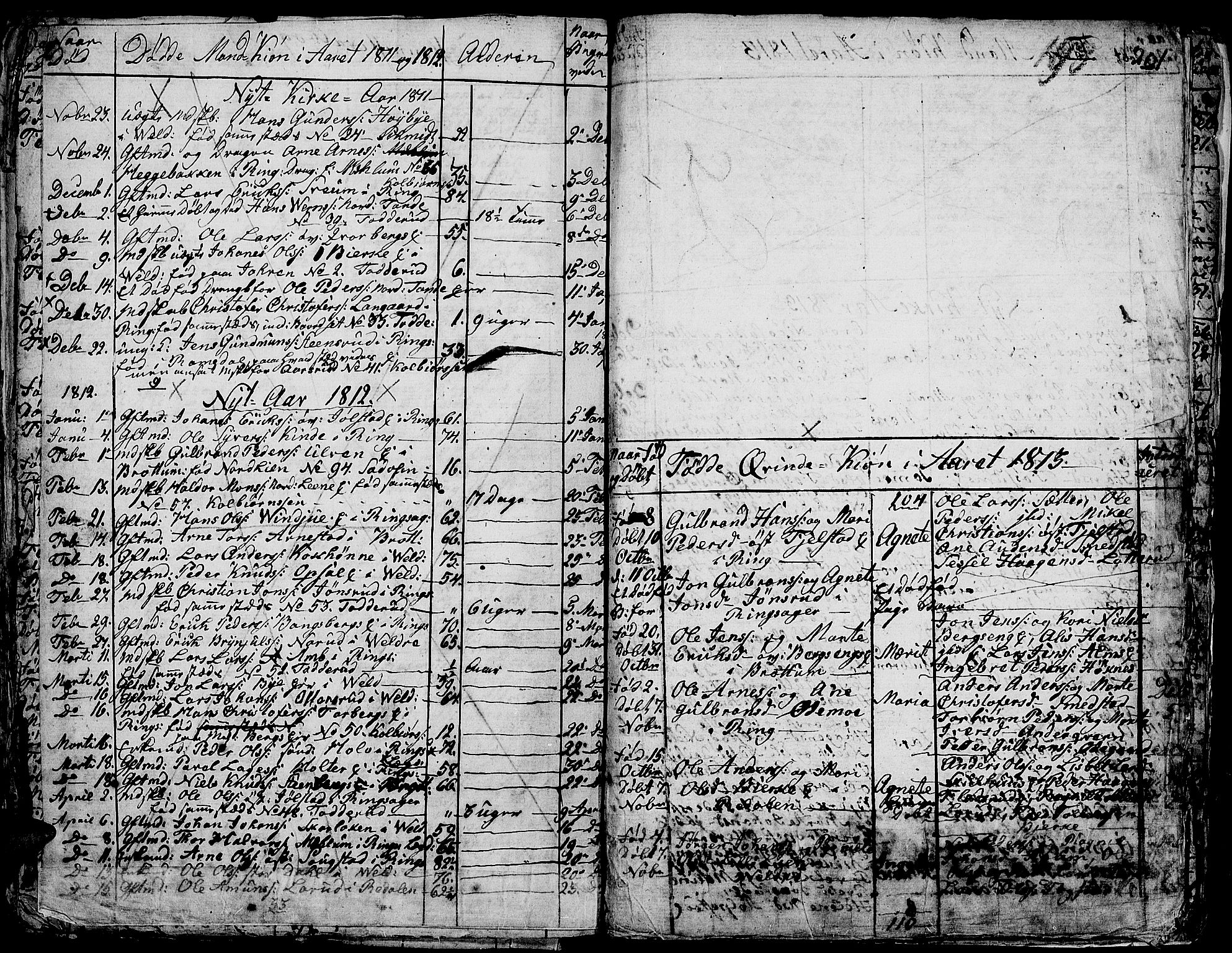 Ringsaker prestekontor, SAH/PREST-014/K/Ka/L0004: Parish register (official) no. 4, 1799-1814, p. 201