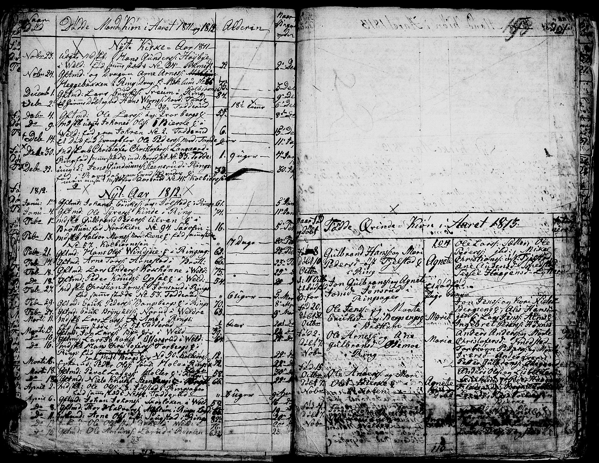 Ringsaker prestekontor, AV/SAH-PREST-014/K/Ka/L0004: Parish register (official) no. 4, 1799-1814, p. 201
