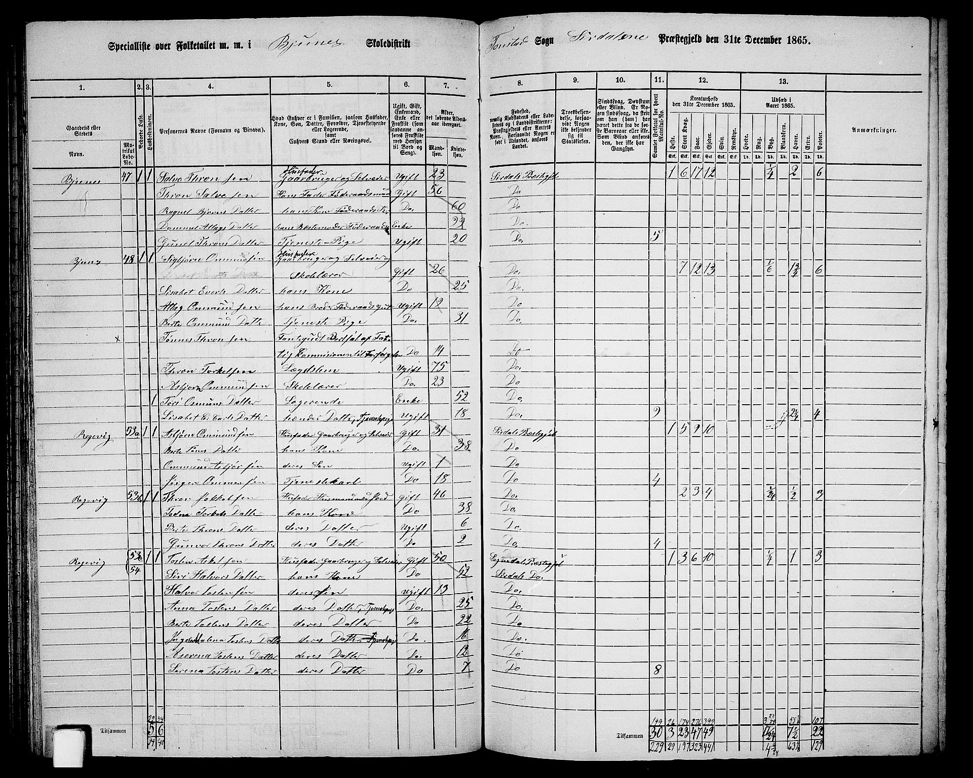 RA, 1865 census for Sirdal, 1865, p. 19