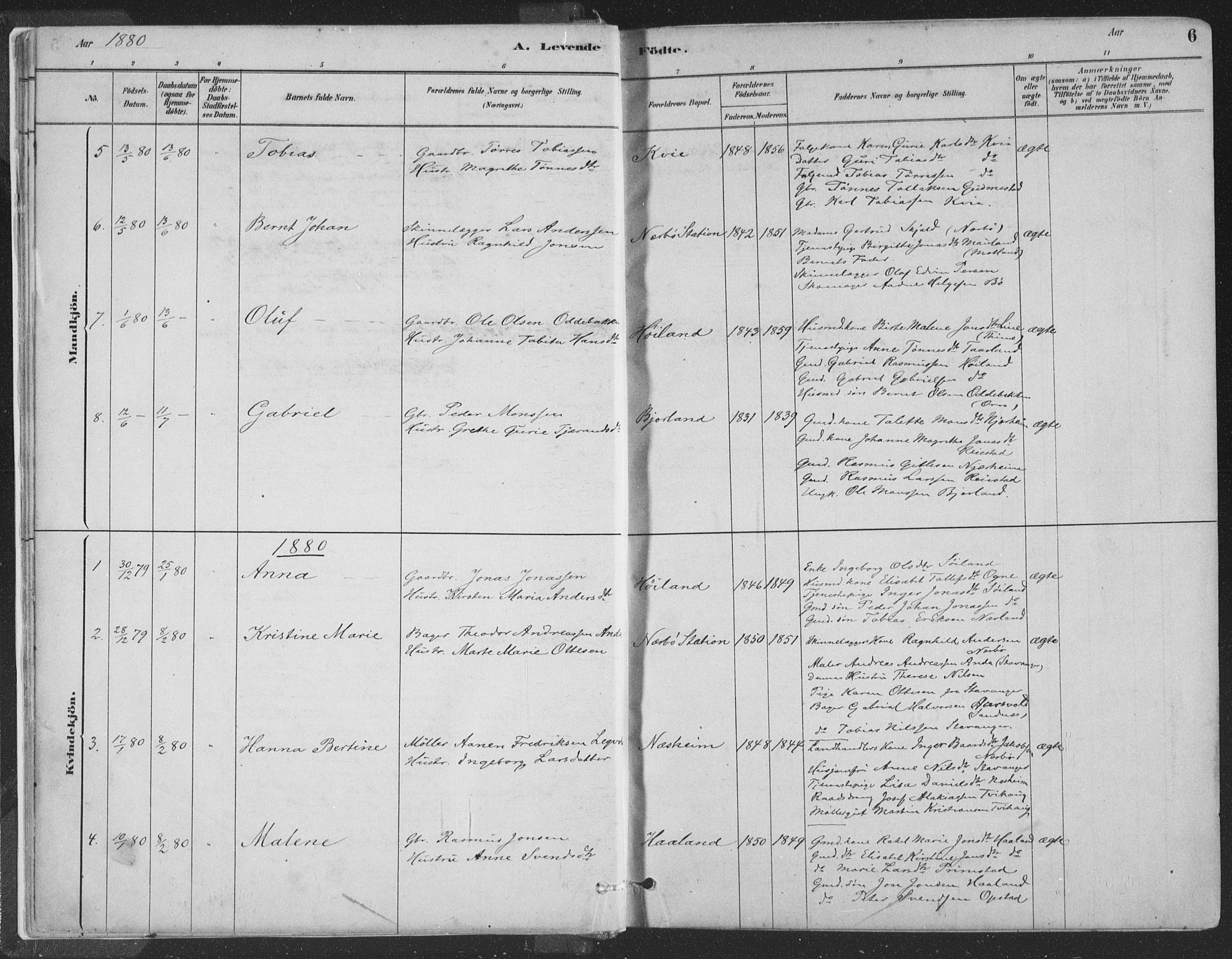 Hå sokneprestkontor, SAST/A-101801/001/30BA/L0010: Parish register (official) no. A 9, 1879-1896, p. 6